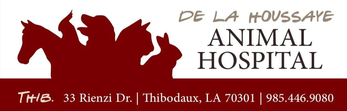 de la Houssaye Animal Hospital