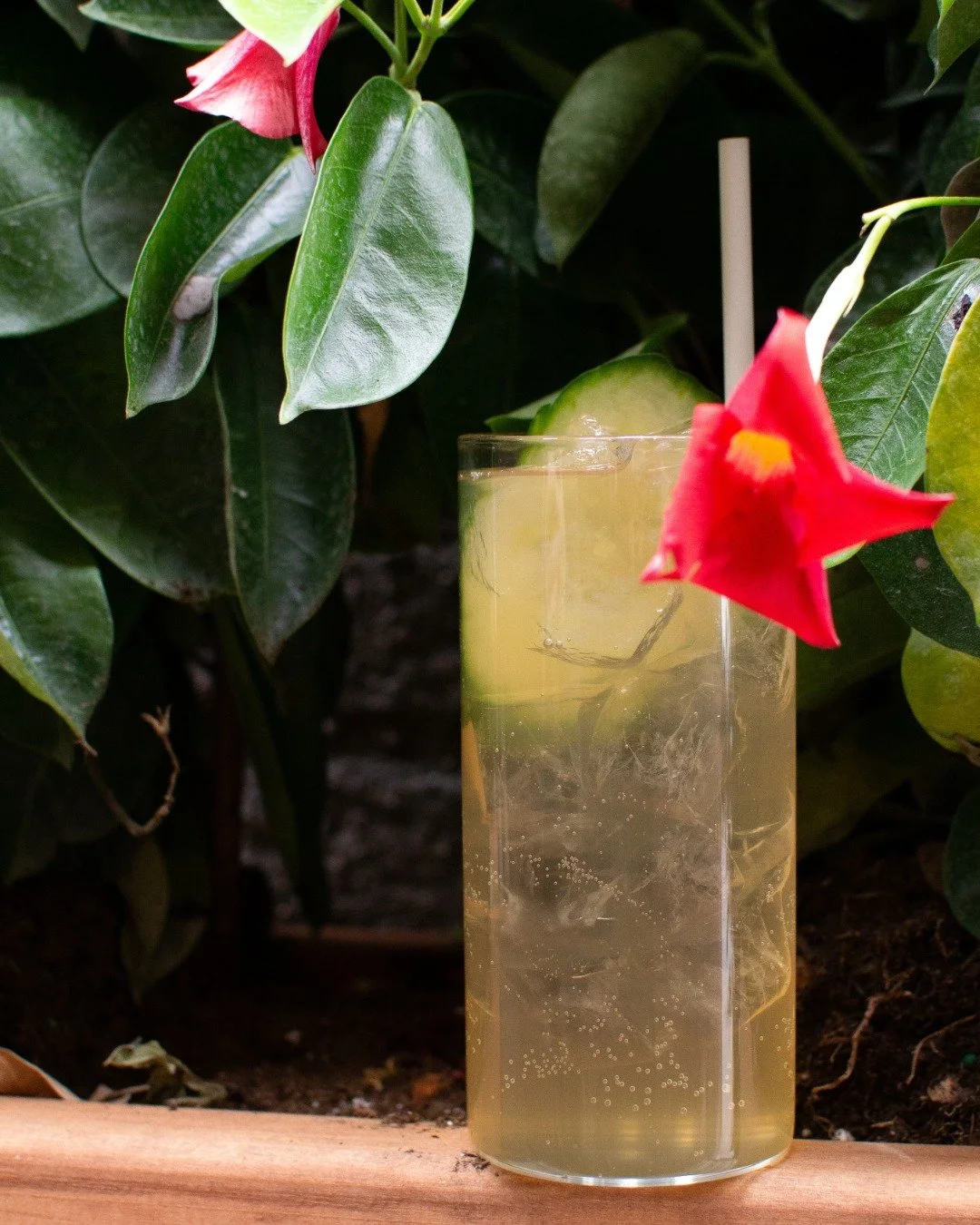 Some evenings call for wine.
Others call for this.

Thermae Fizz. 🌿