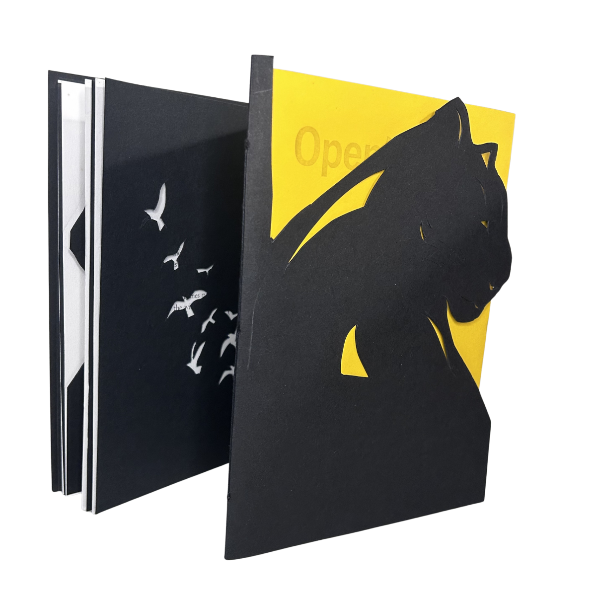 Openly / Stealth - Artist Book