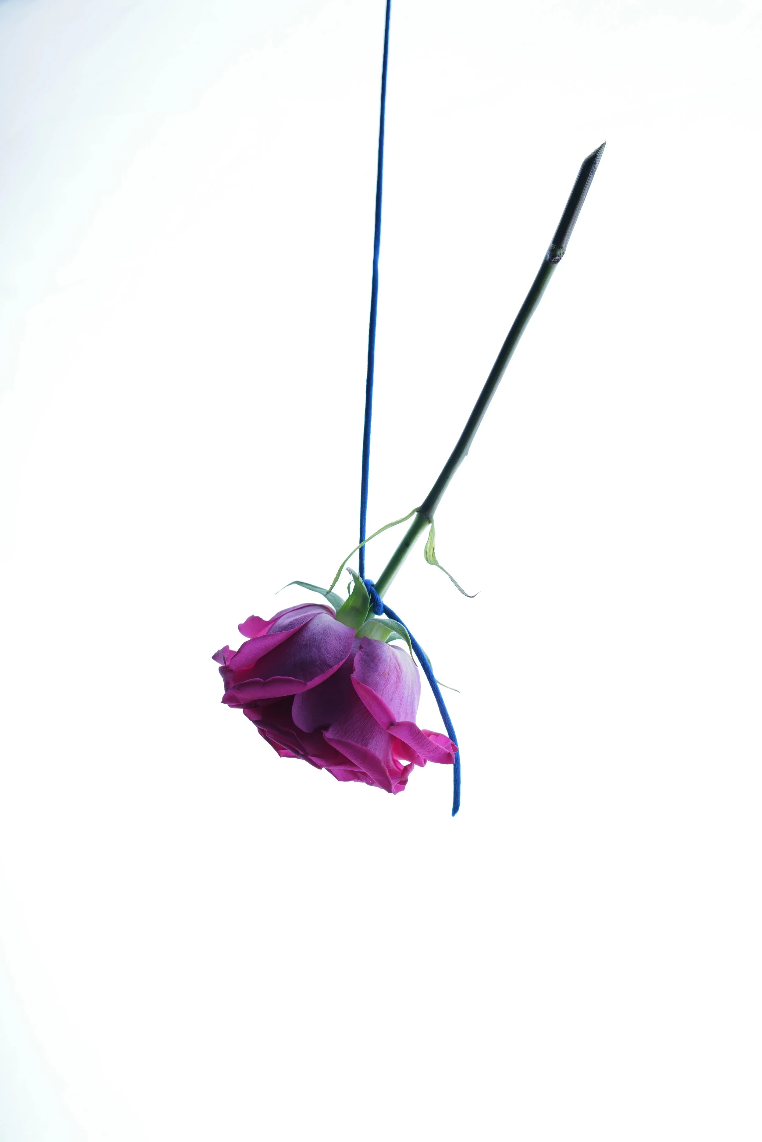 DO01000988.JPG