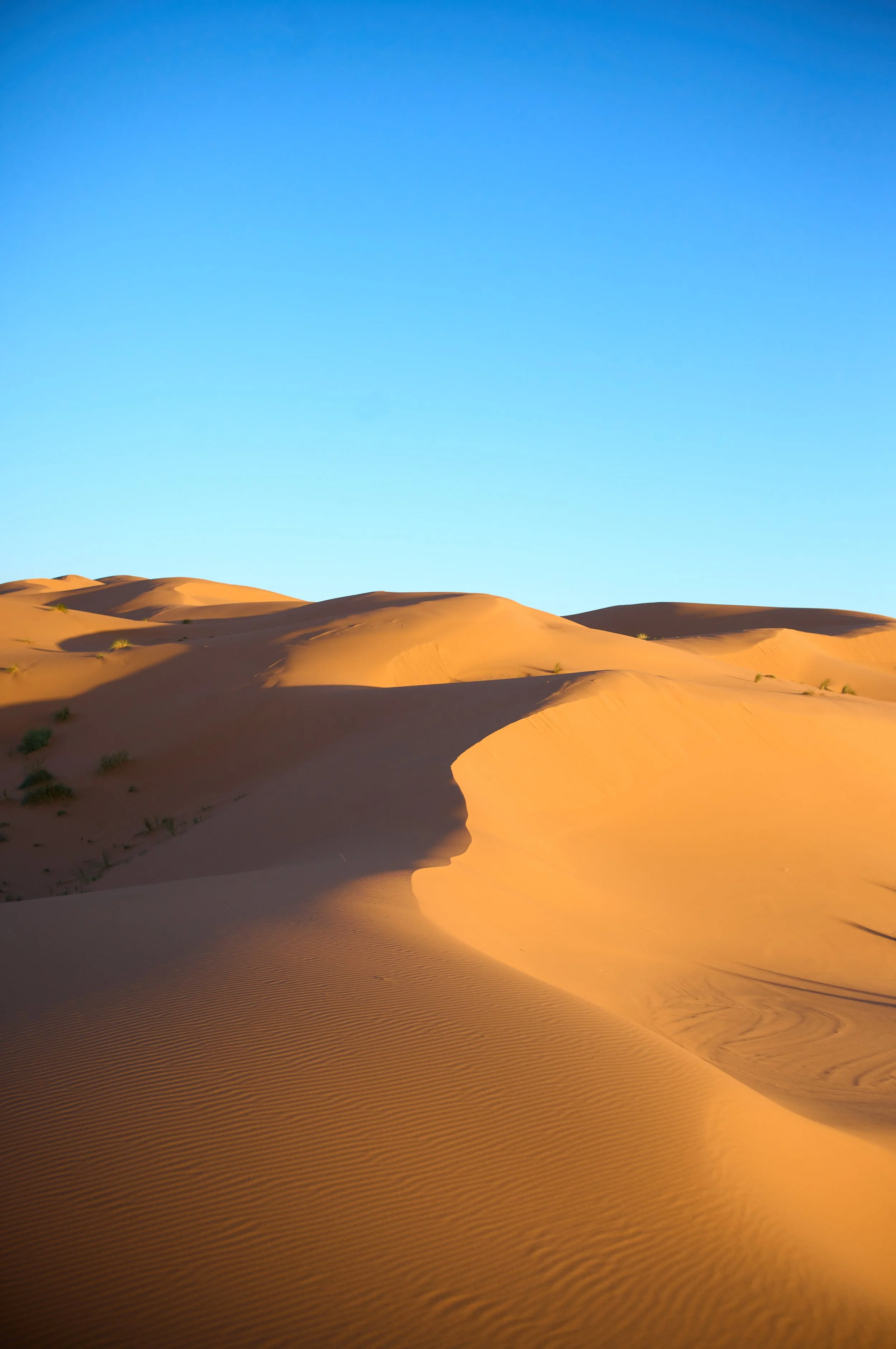 LVK_M11_Sahara__689.jpg