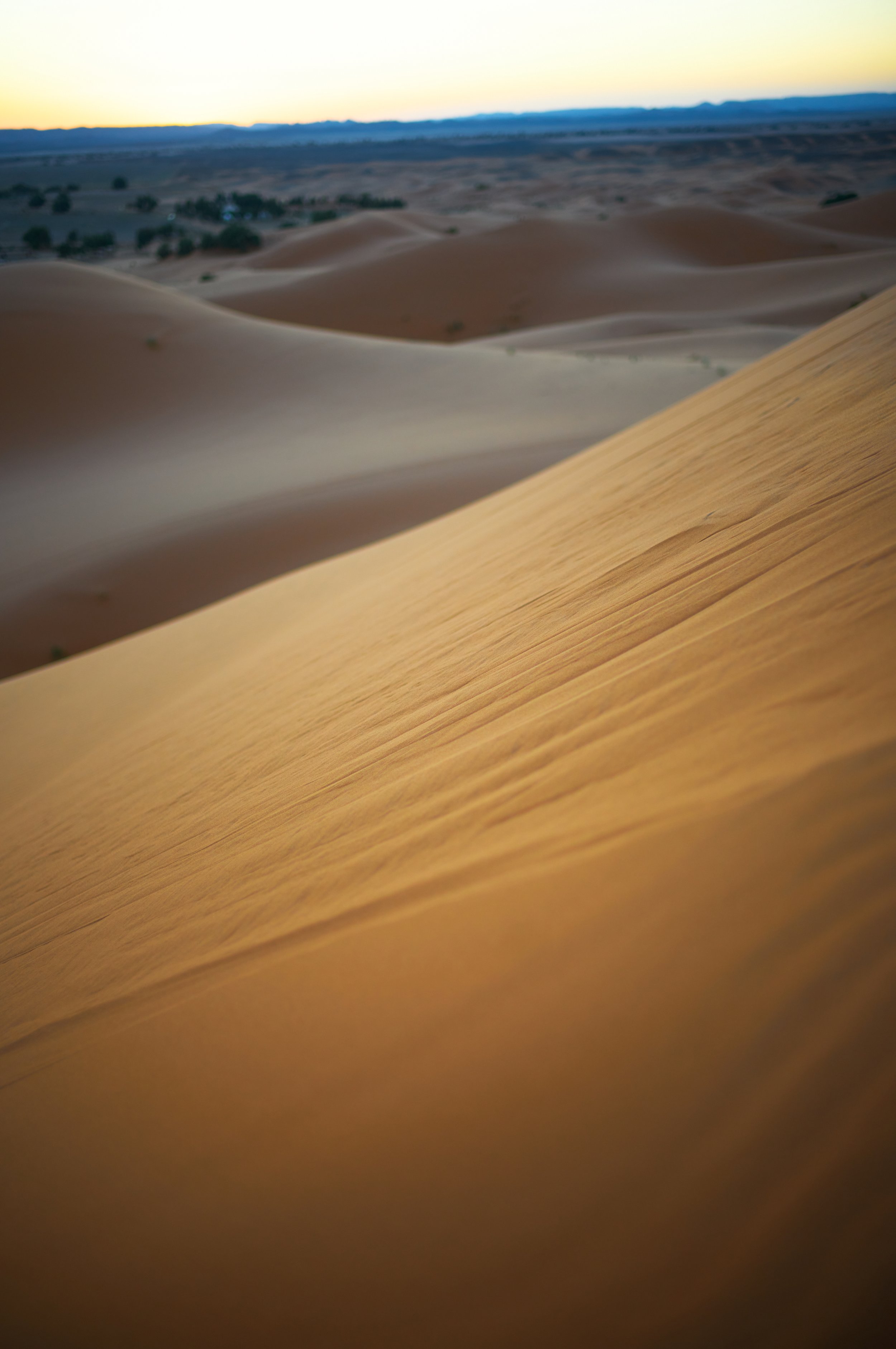 LVK_M11_Sahara__759.jpg