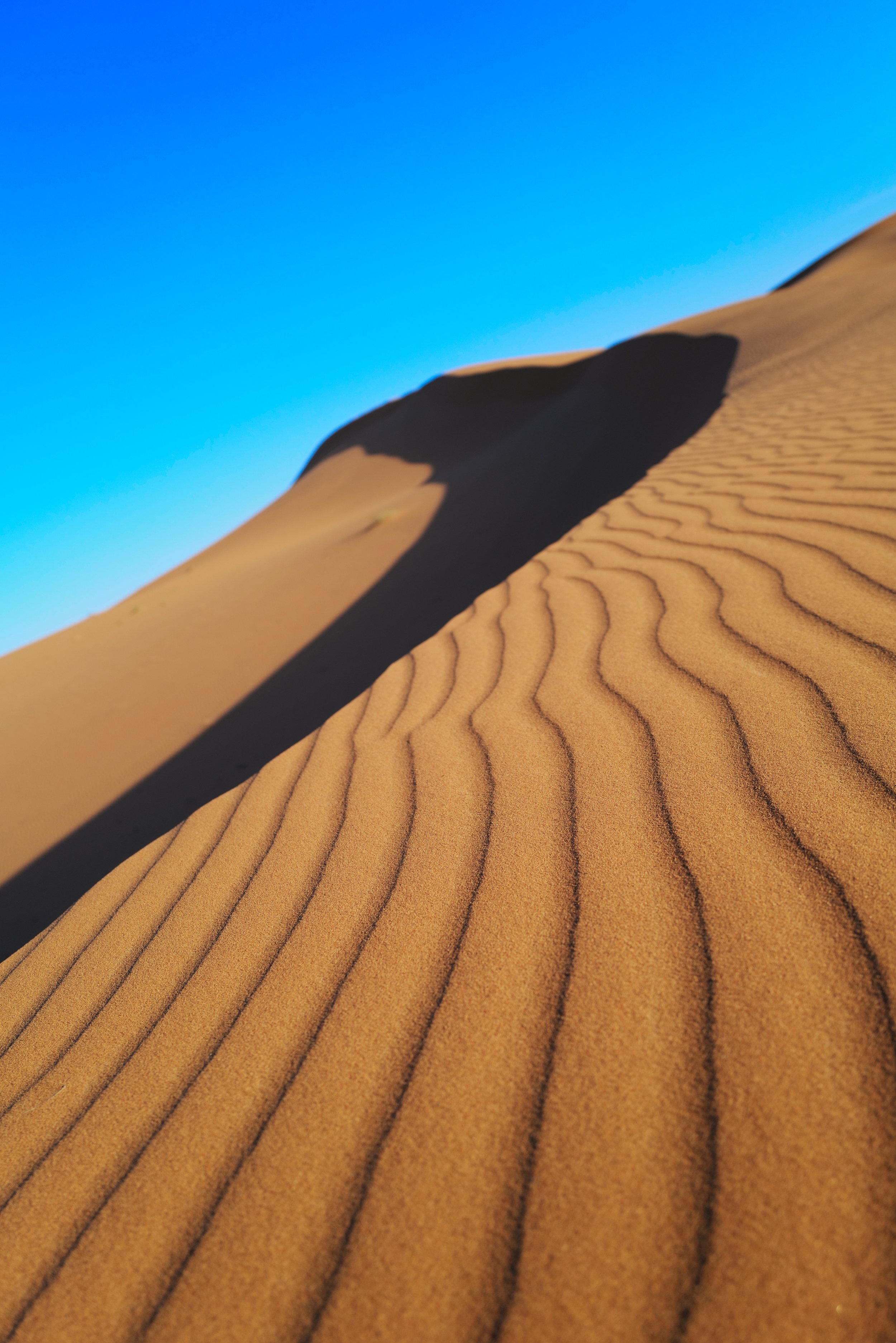 LVK_Q2_Sahara_143.jpg
