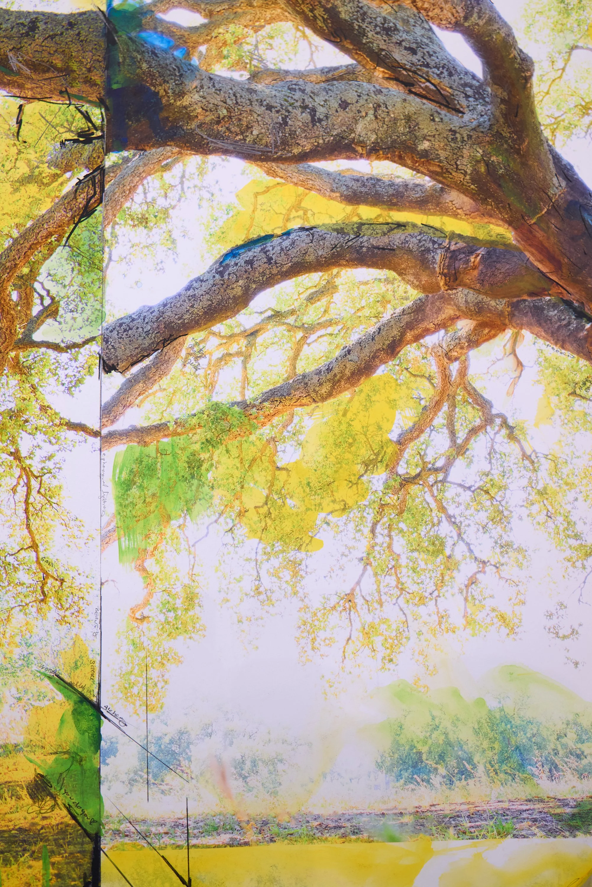 LVK_Bemis_2025_Trees_Blue_099.jpg