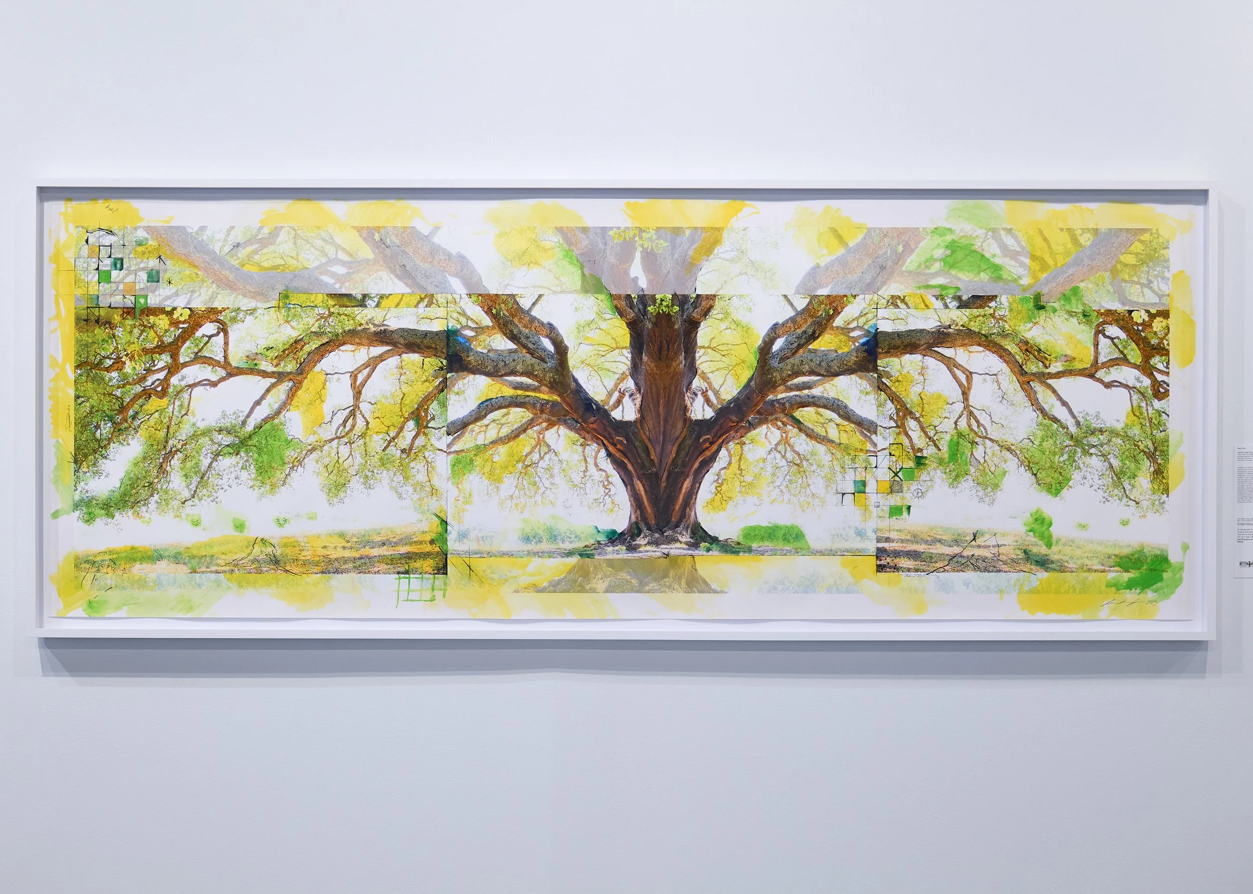 LVK_Bemis_2025_Trees_Blue_041.jpg