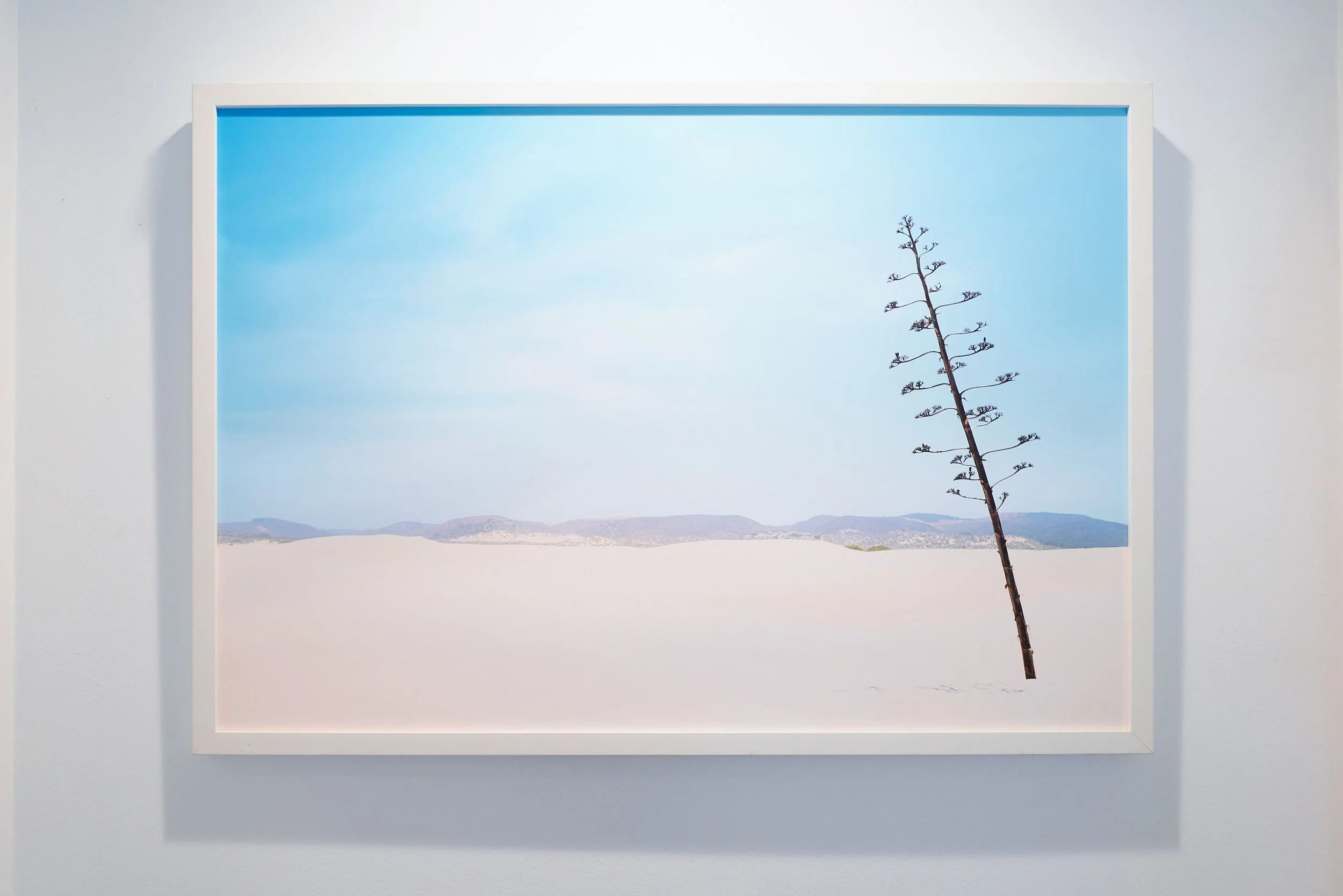 ATELIER_VISIBLE_LIGHT_08_01_2026_128.jpg
