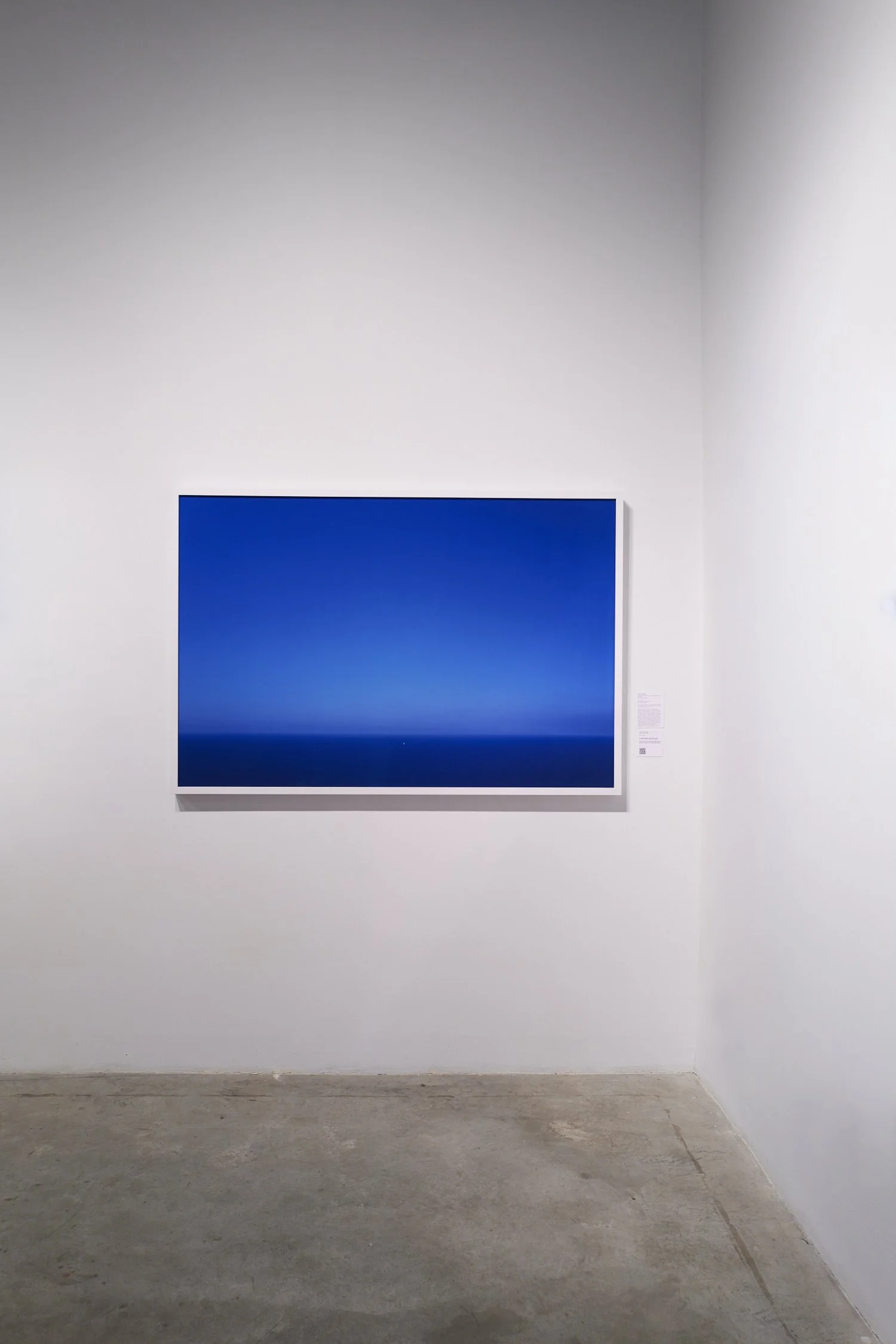 Bemis_2021_LC_018 copy.jpg