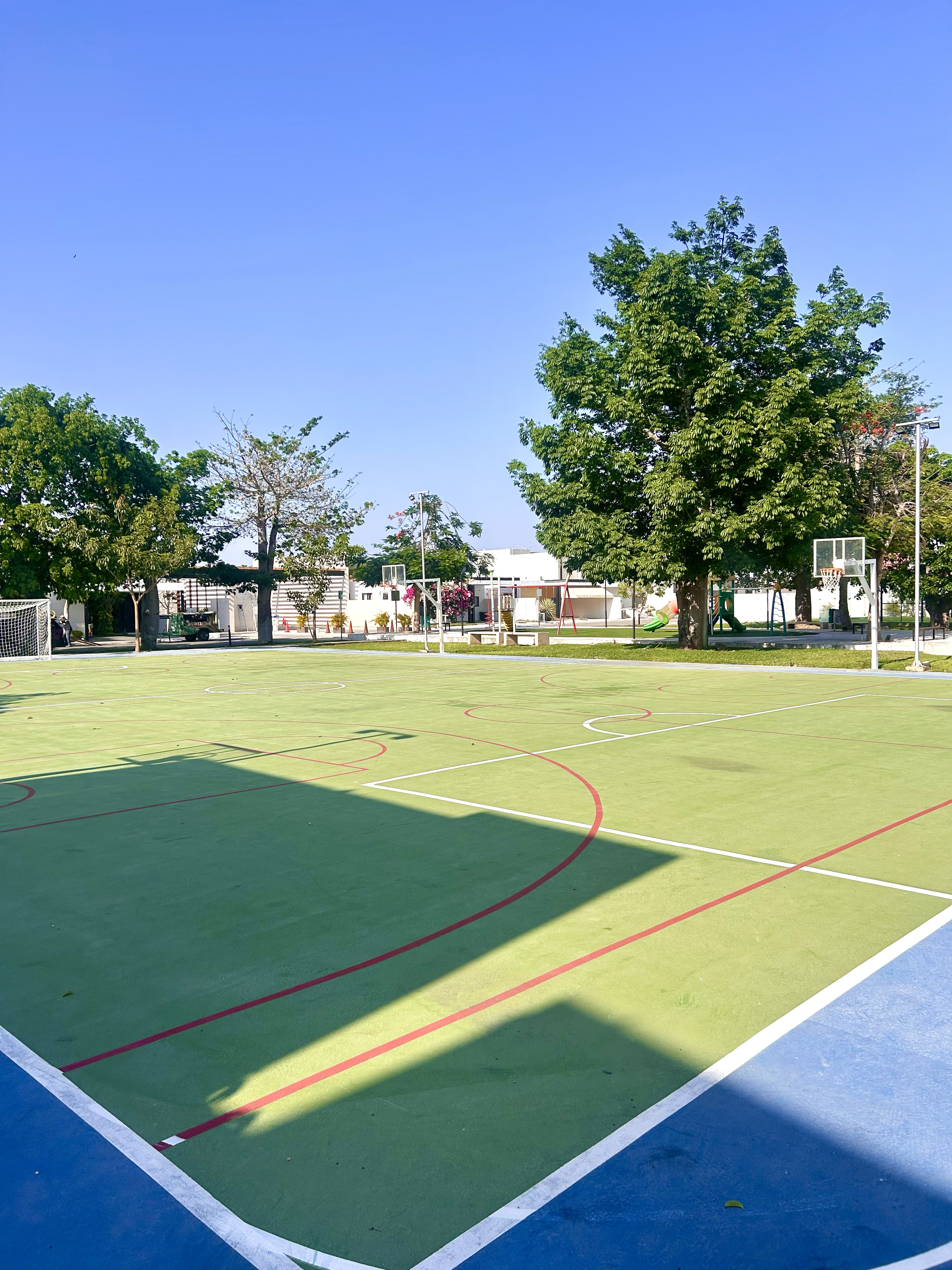 Bright outdoor basketball court with multi-colored markings, surrounded by green trees on a sunny day.