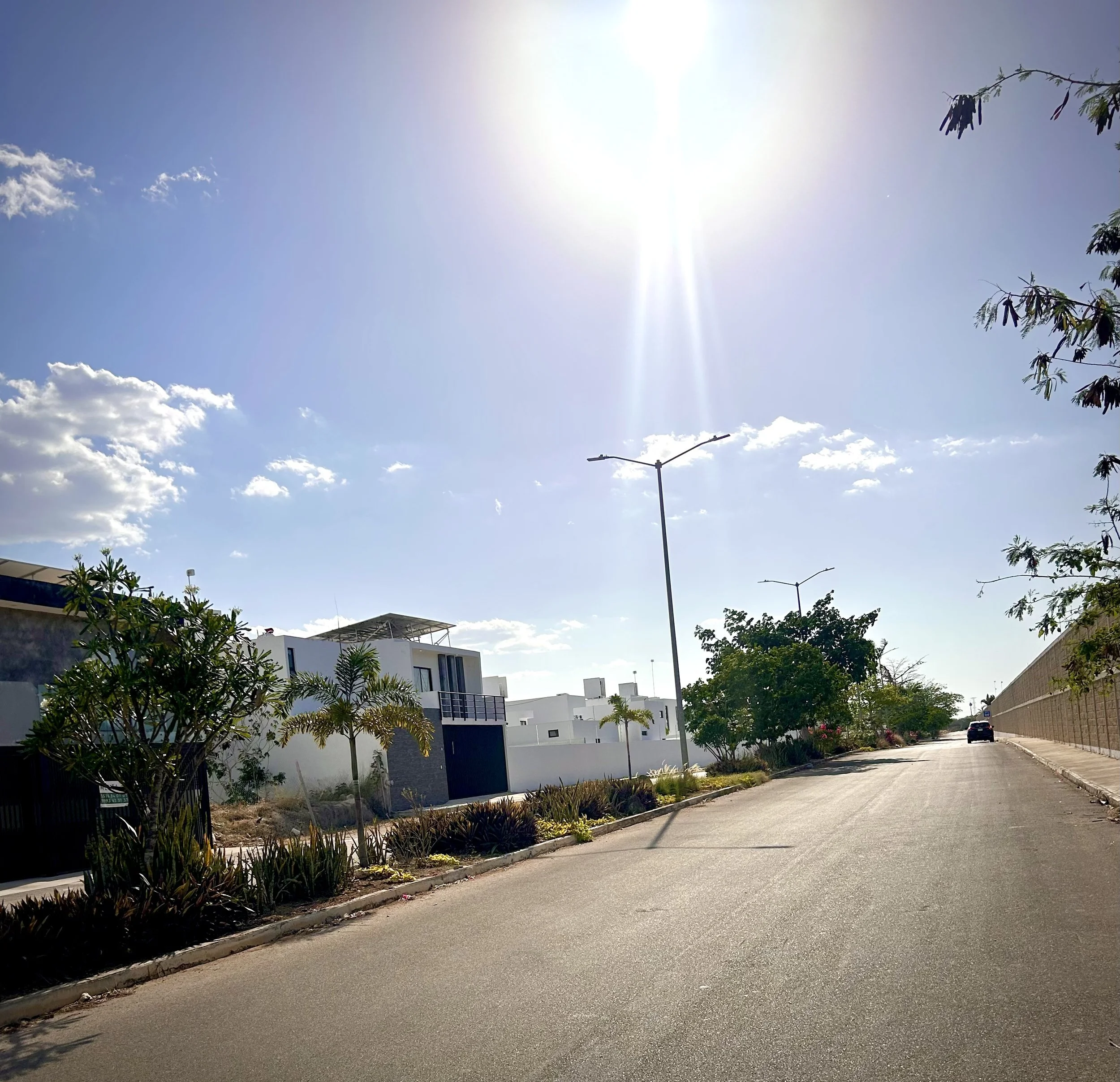 A bright sunny day on a suburban street with modern white houses, streetlights, trees, and clear blue sky with clouds.