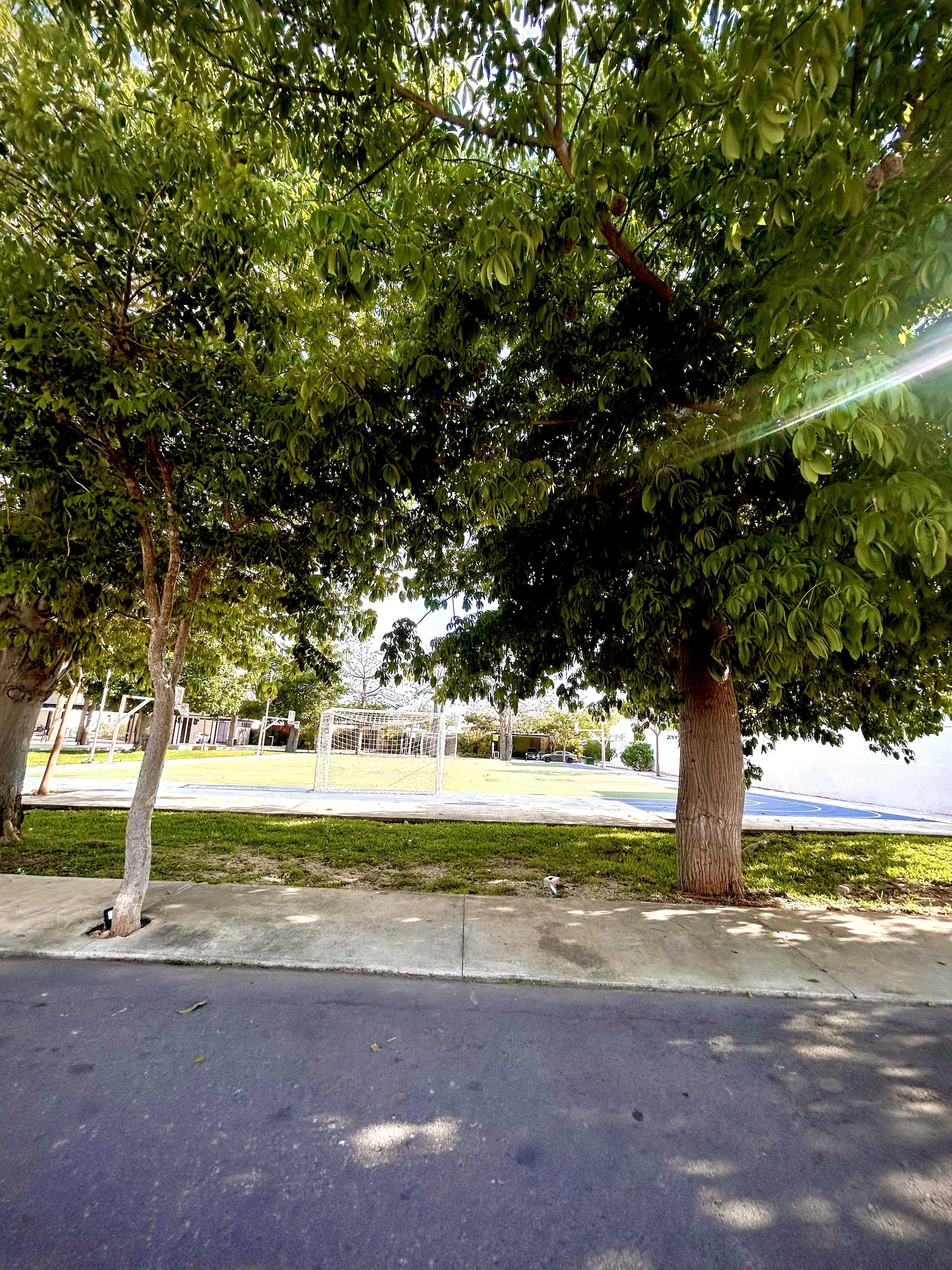 A park with two large trees, a small grassy area, a soccer goal, and a basketball court, with sunlight filtering through the leaves.