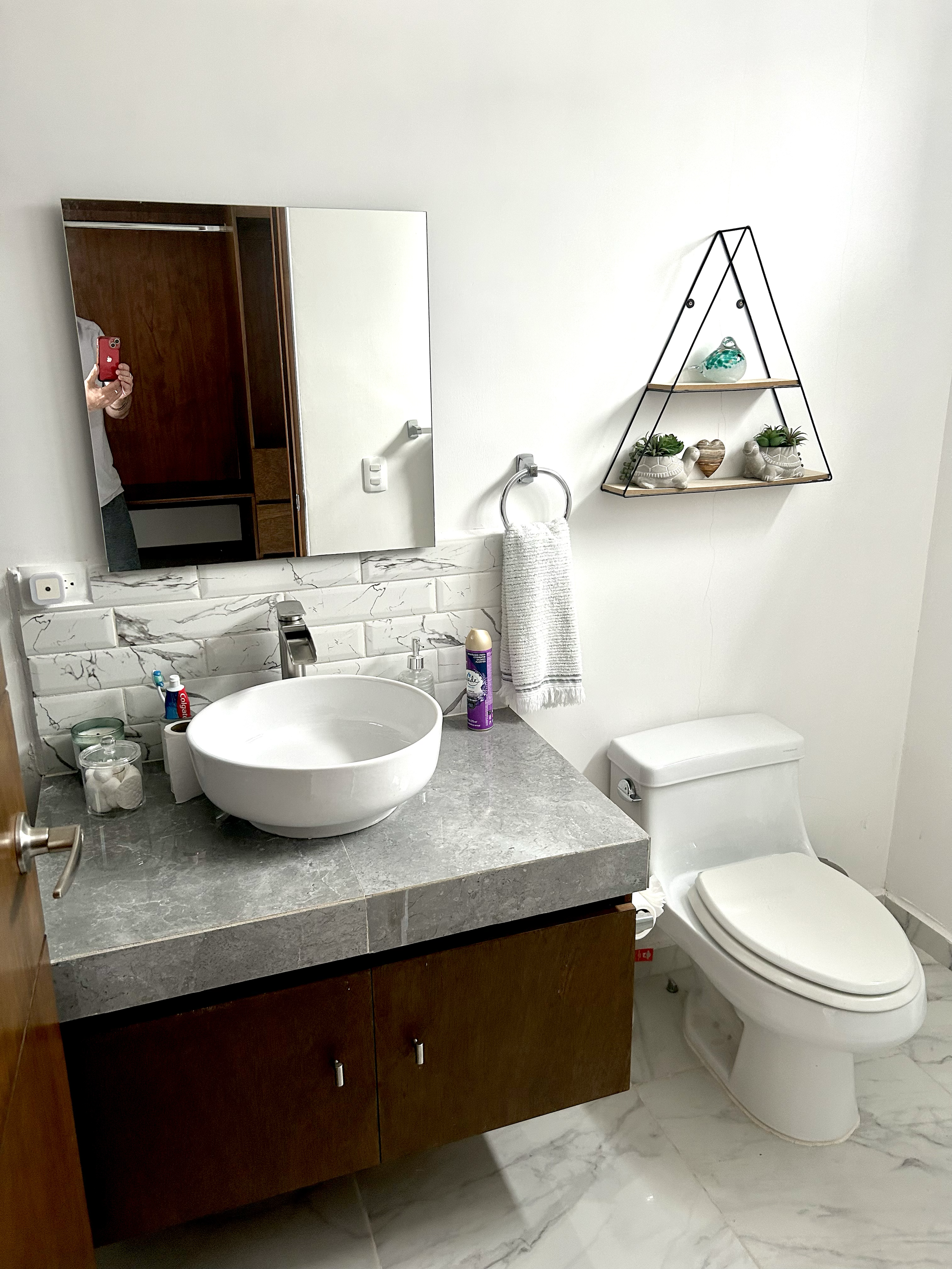 A bathroom with a marble countertop sink, a mirror, a white toilet, a towel ring with a white towel, and a triangular wall shelf with plants and decorative items.