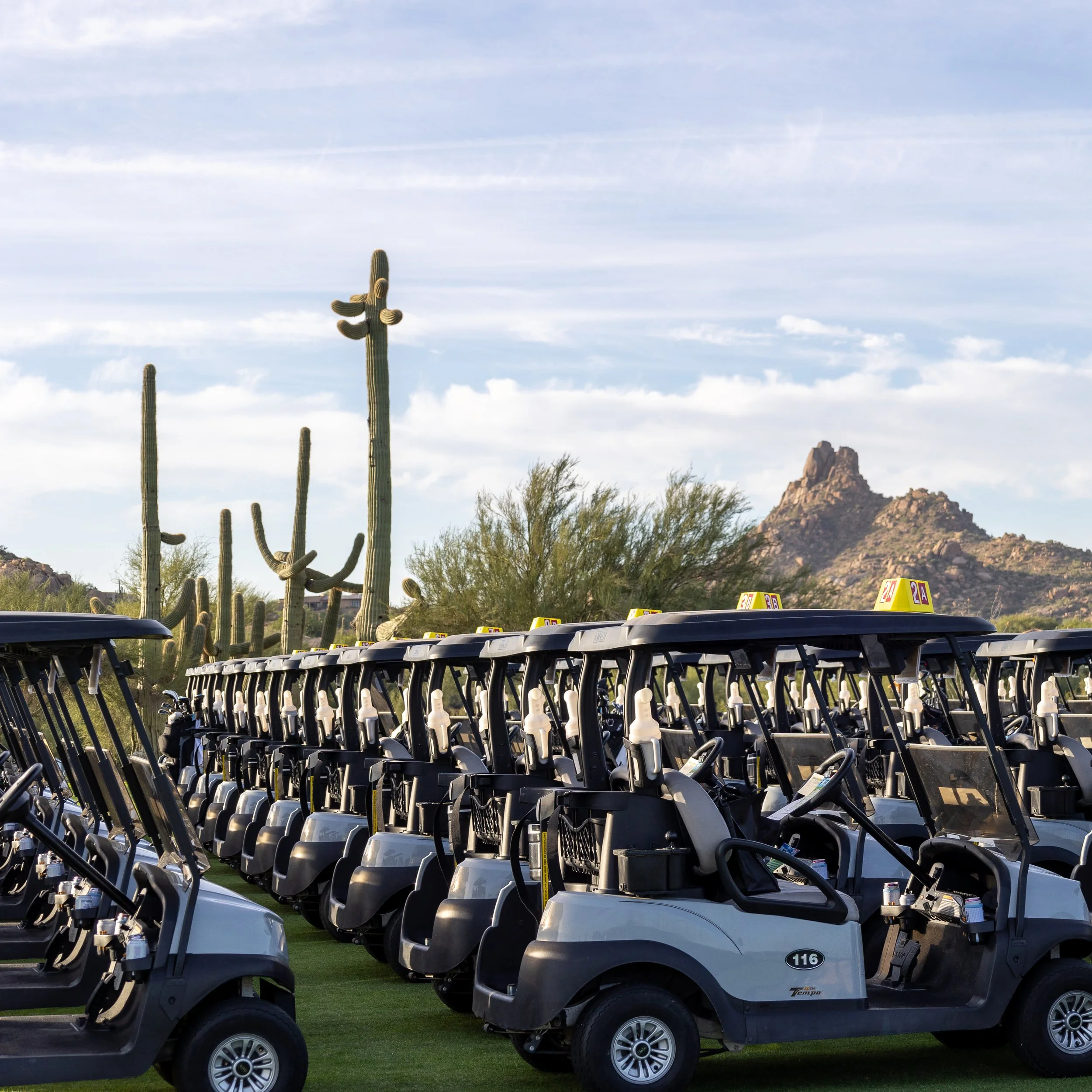 Row of golf carts parked on a grassy area with saguaro cacti and desert mountains in the background under a blue sky with light clouds.