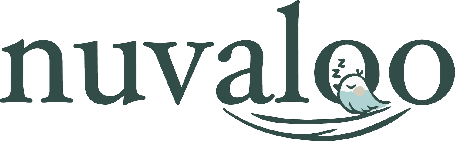 Nuvaloo | Baby, Toddler &amp; Kids Sleep on Airplanes