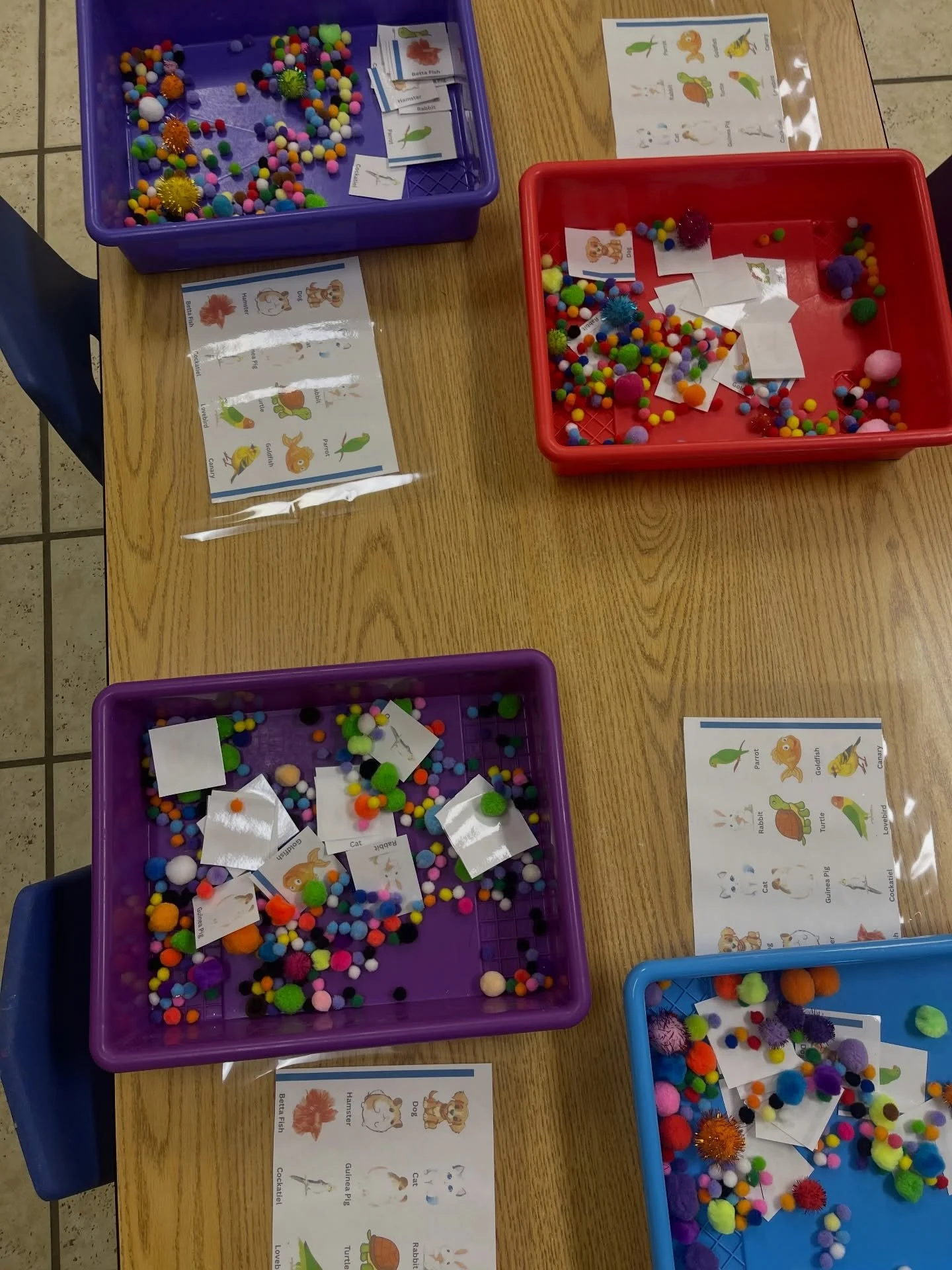 🐾 It&rsquo;s Pet Week at Antzy Pantz Preschool! 🐾

Our classrooms are full of paws, fins, and lots of learning through play! This week our students are exploring pets through hands-on activities that build important early learning skills.

Some of 