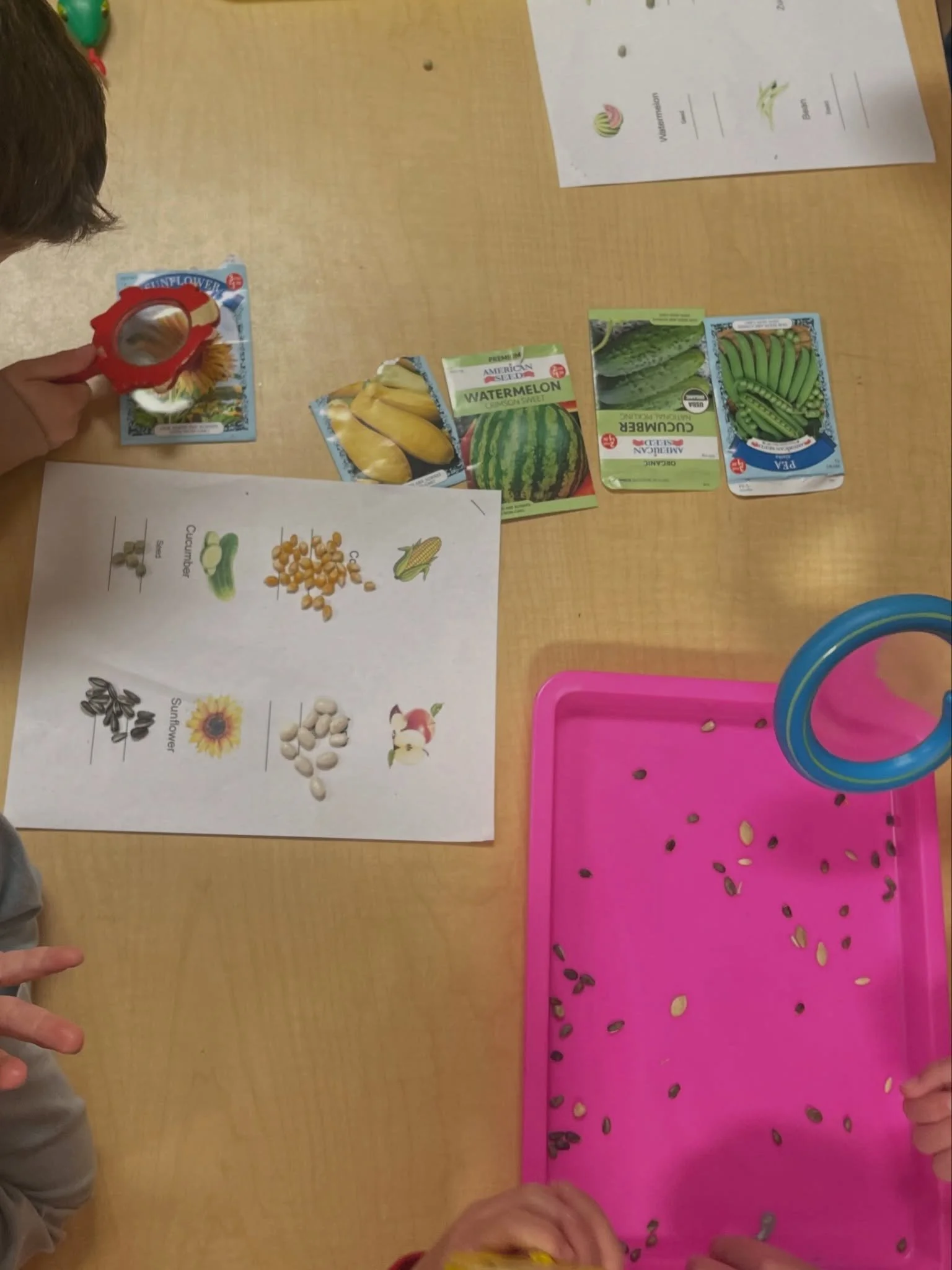 Busy hands, busy minds, and lots of smiles at Antzy Pantz Preschool this week! ✂️🎨🖍️

From fine motor fun to creative crafts, our little learners stayed hard at work building skills, exploring creativity, and having fun along the way. We love watch