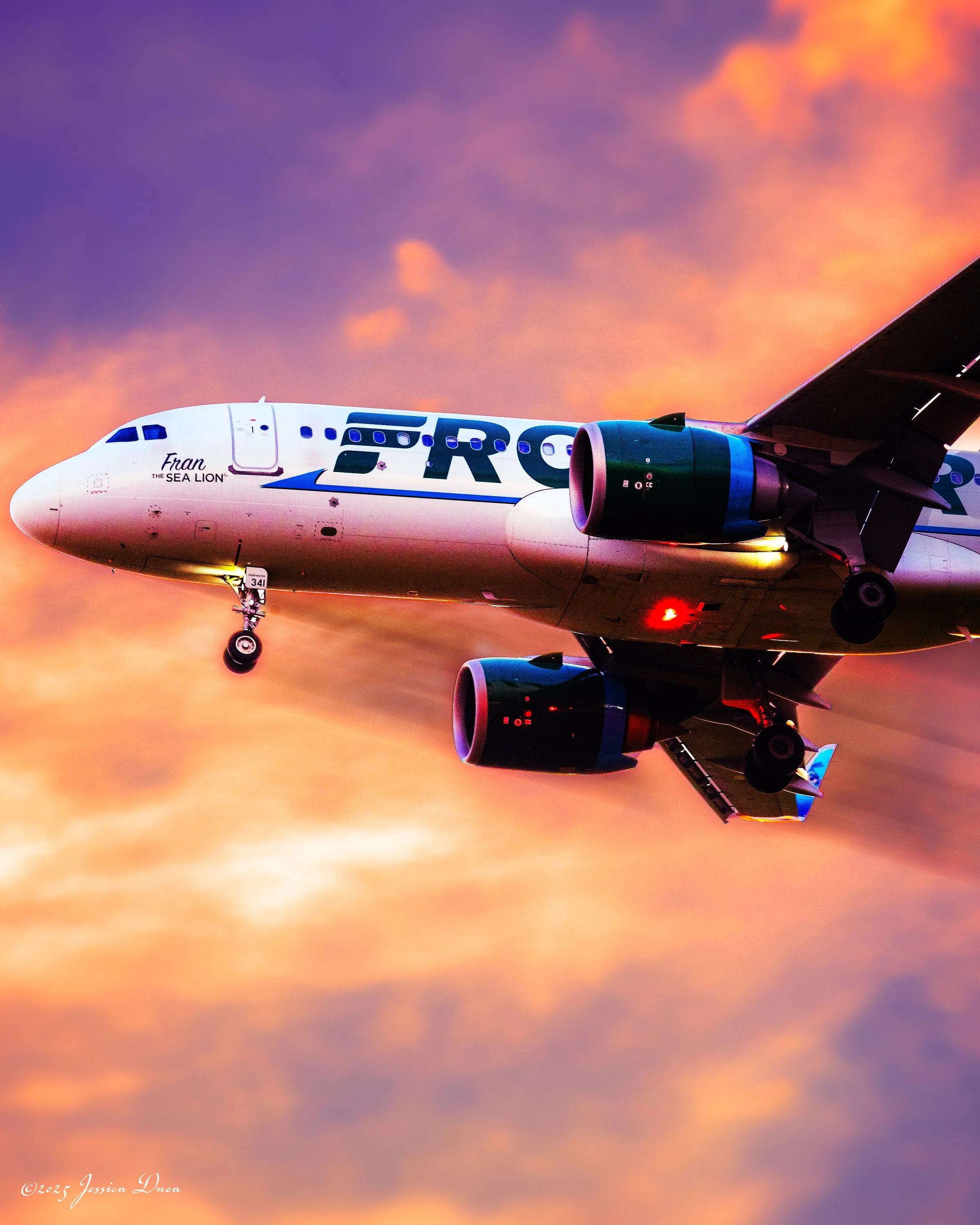 Airline: Frontier Air
Airport: DIA