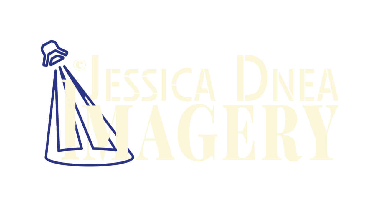 Denver Band Promo & Press Photographer | Jessica Dnea Imagery