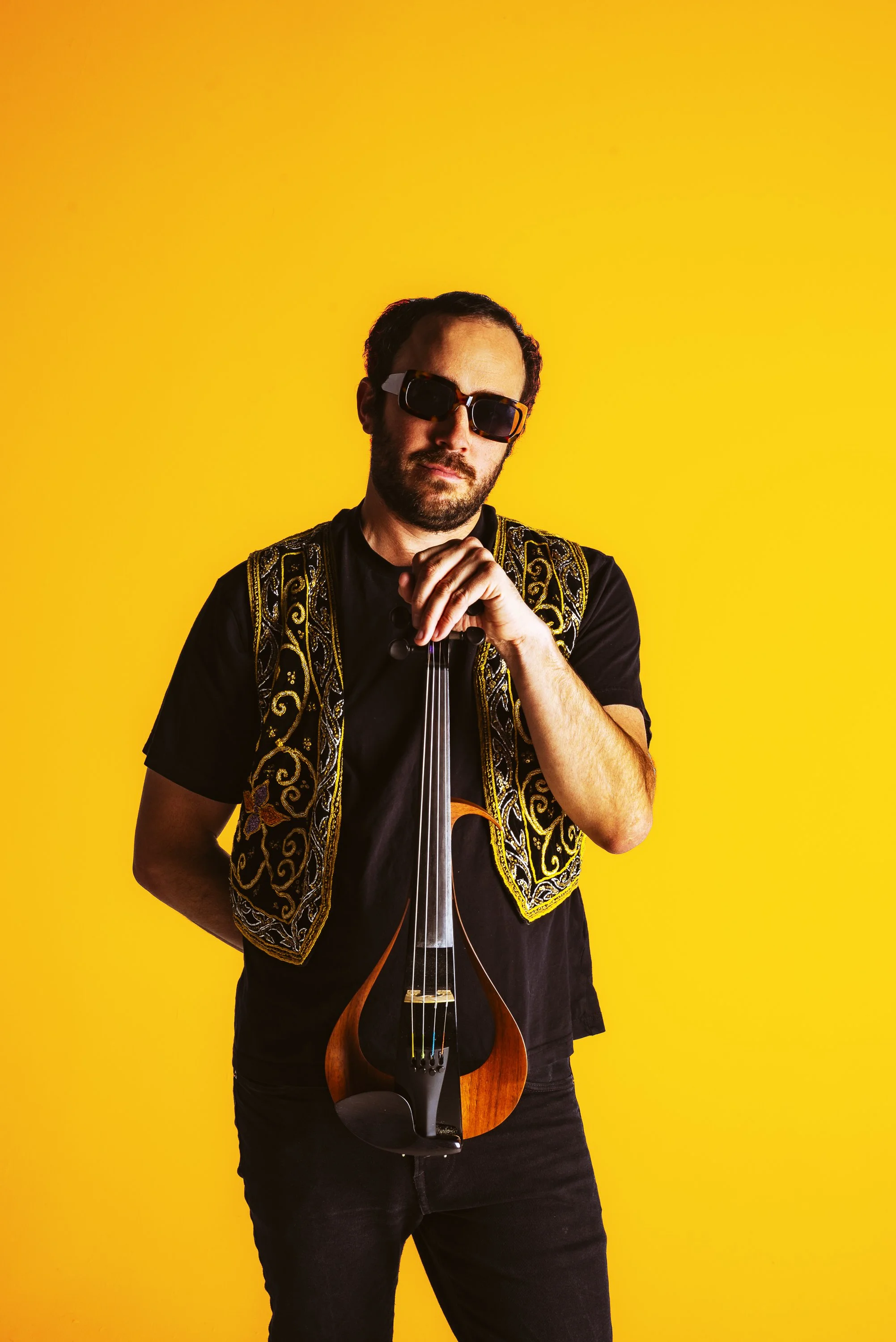 Press-ready portrait image for EPK and marketing use. Violin, colorful photos.