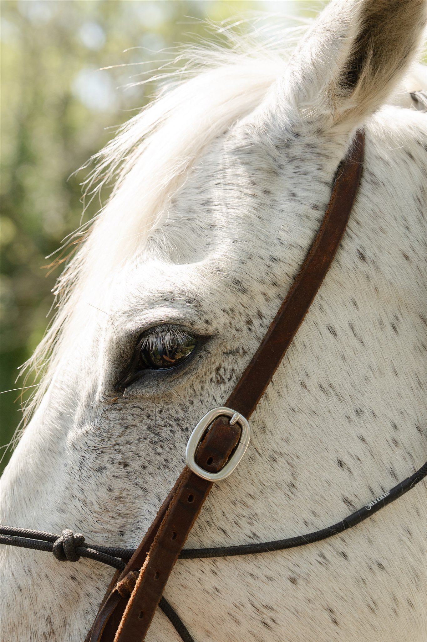 Lucky in Love-068.jpg
