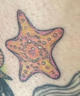 Starfish .jpeg