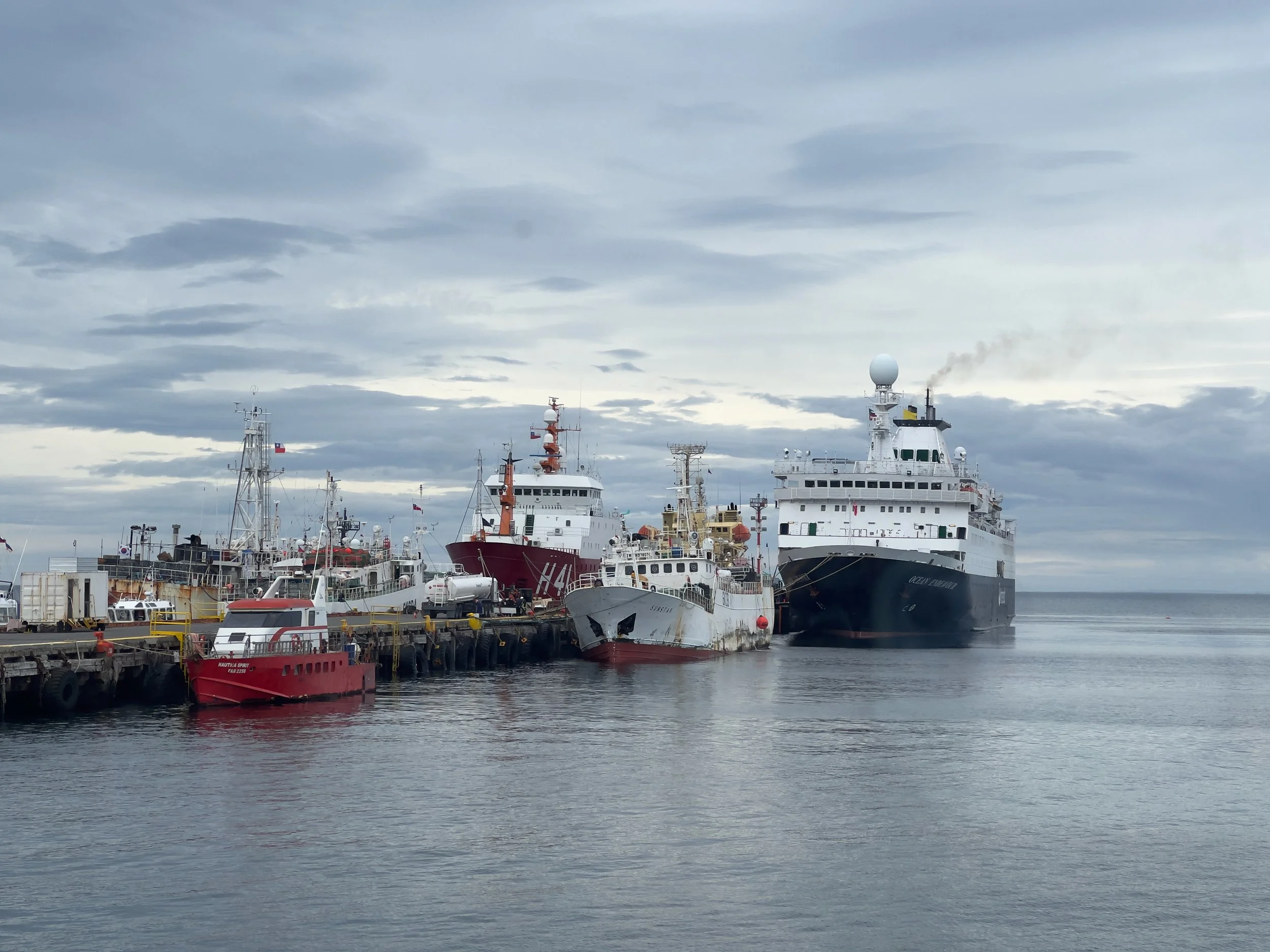 Punta Arenas, Chile. South America. 