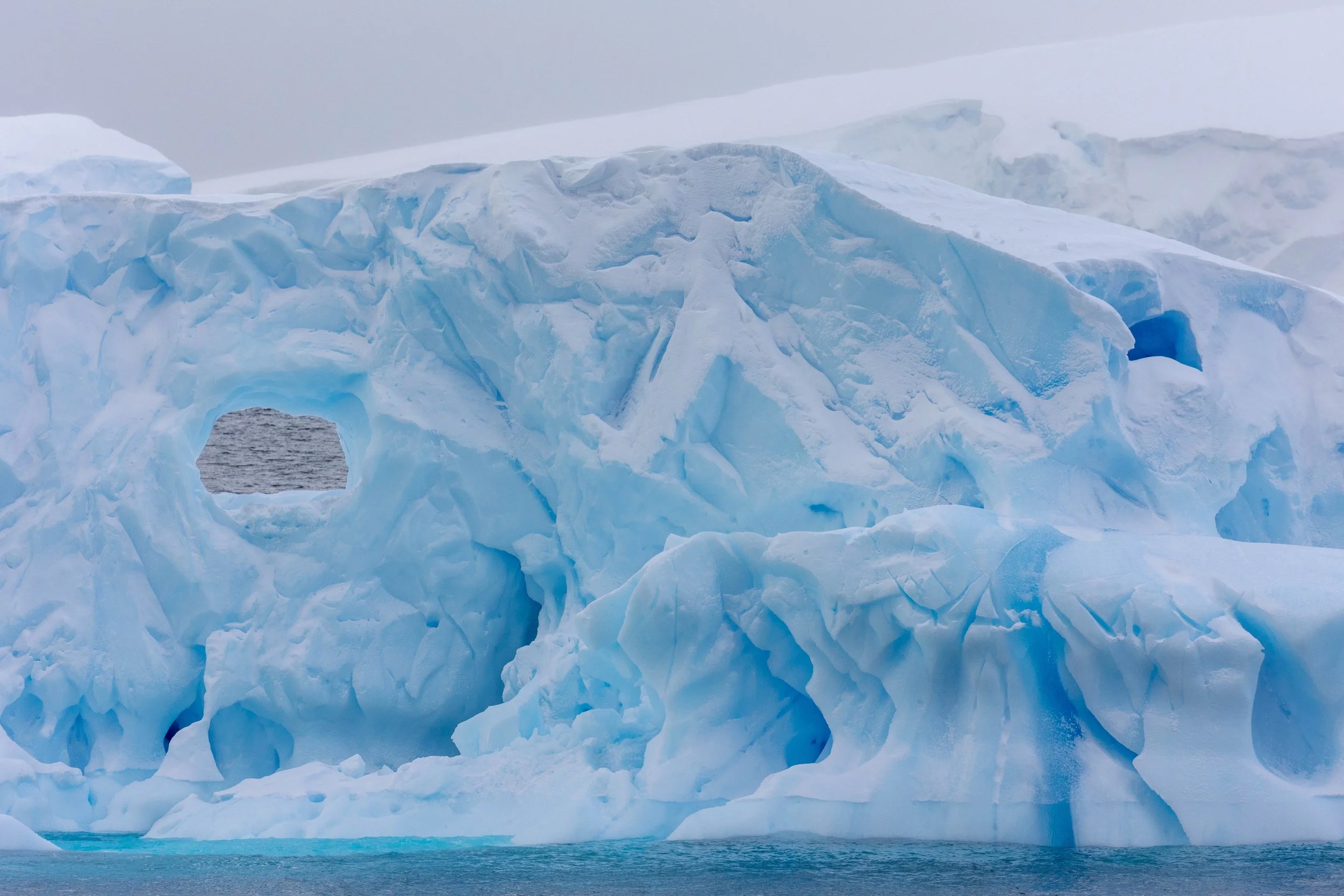 2022-11-09 2022-11-09 Antarctica-4402.jpeg