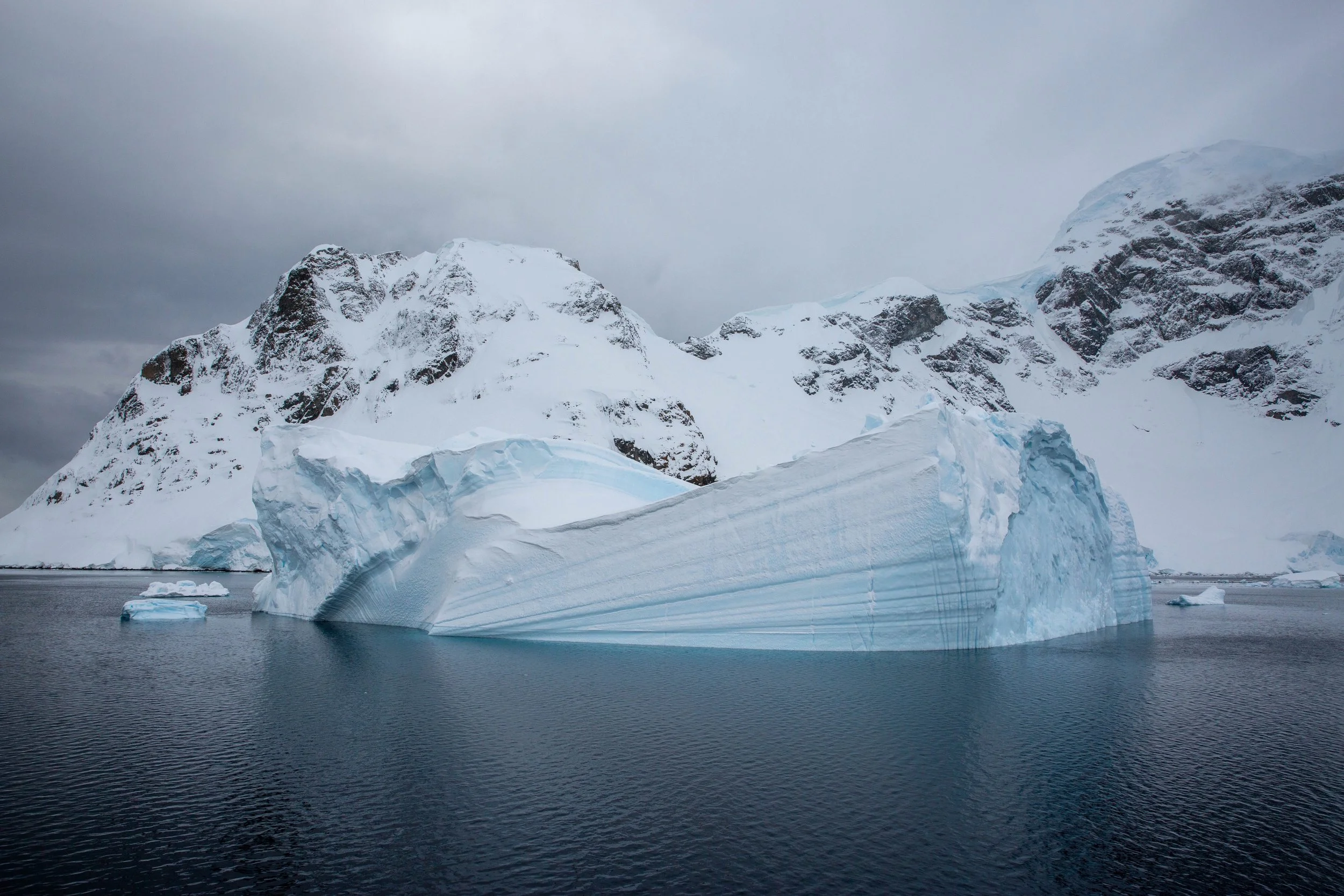2022-11-09 2022-11-09 Antarctica-4502.jpeg