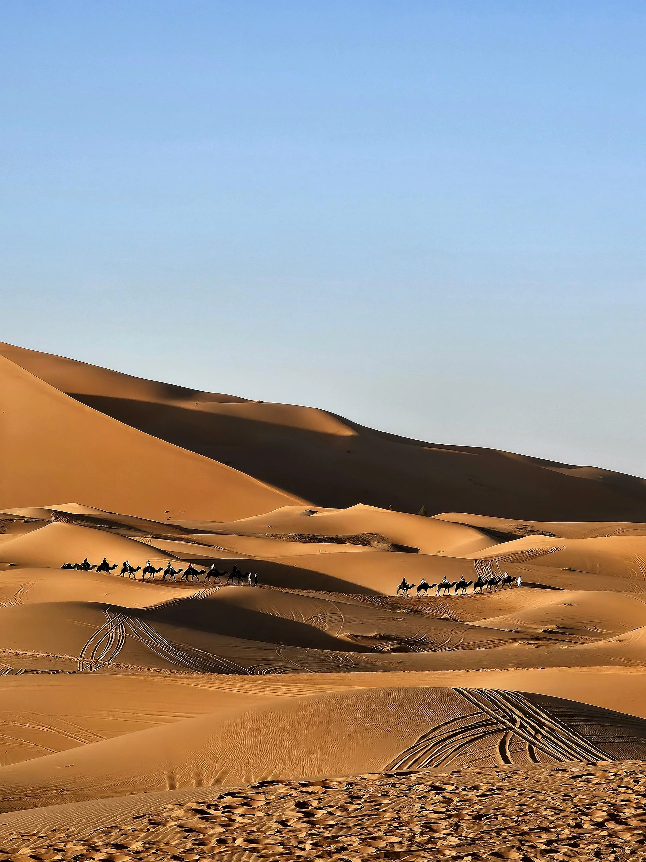 Camel trekking across the Sahara Desert dunes