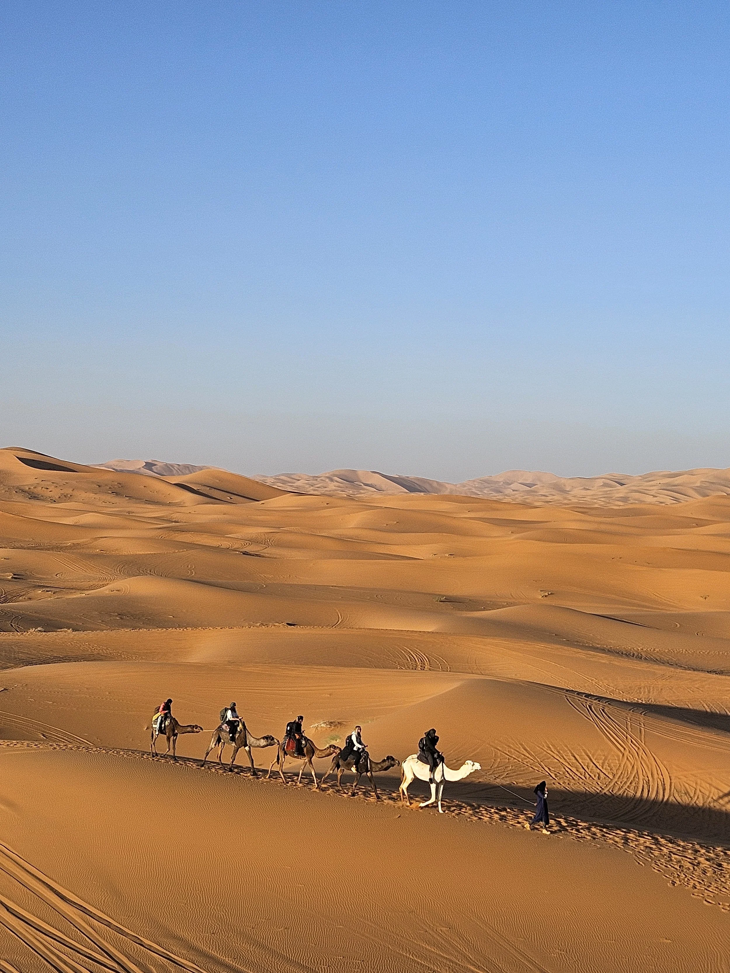 Camel trekking travelers across the Sahara Desert dunes