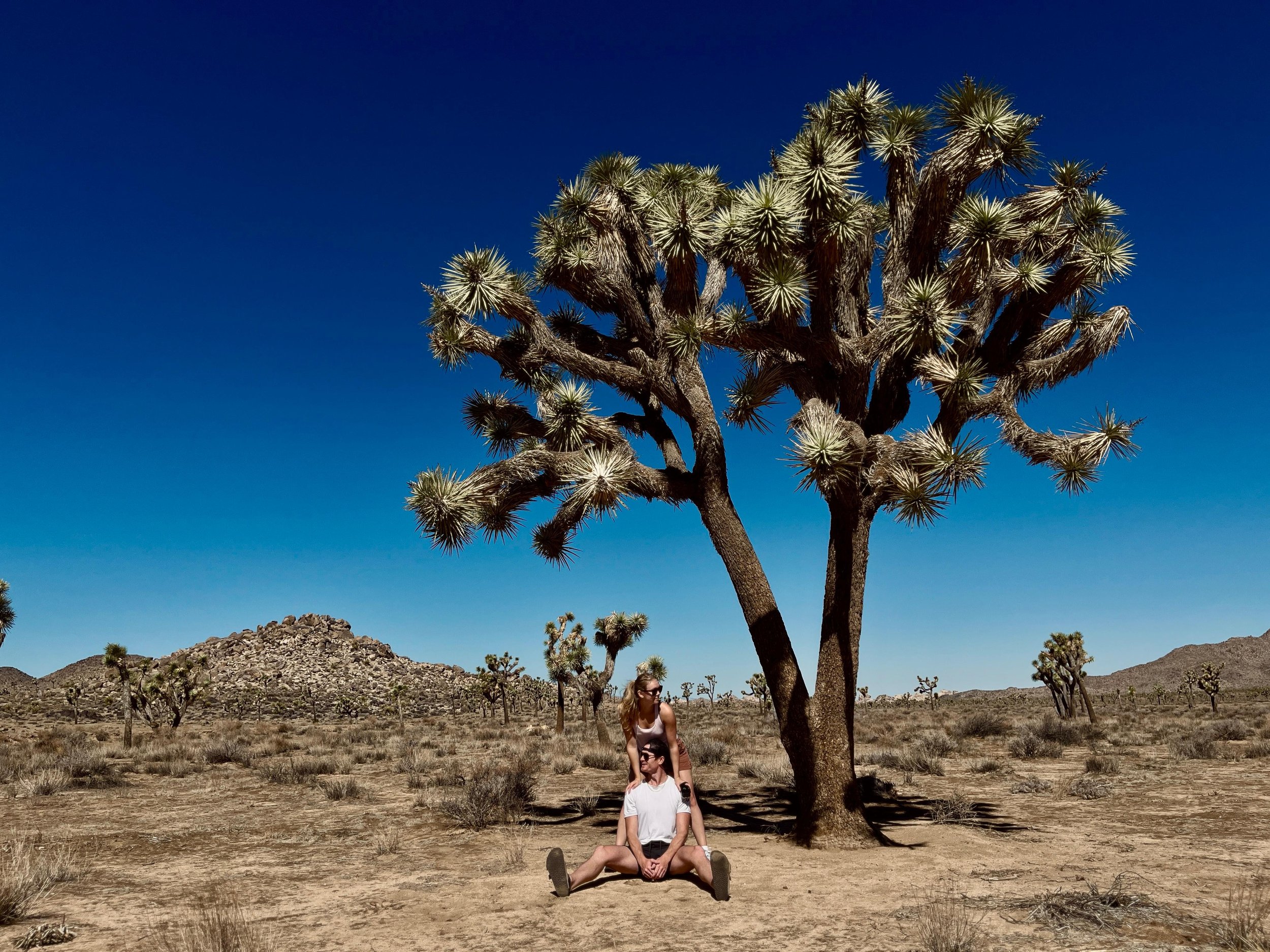 Everything You Need to Know About Visiting Joshua Tree (Hikes, Coffee, Pioneertown &amp; Travel Tips)