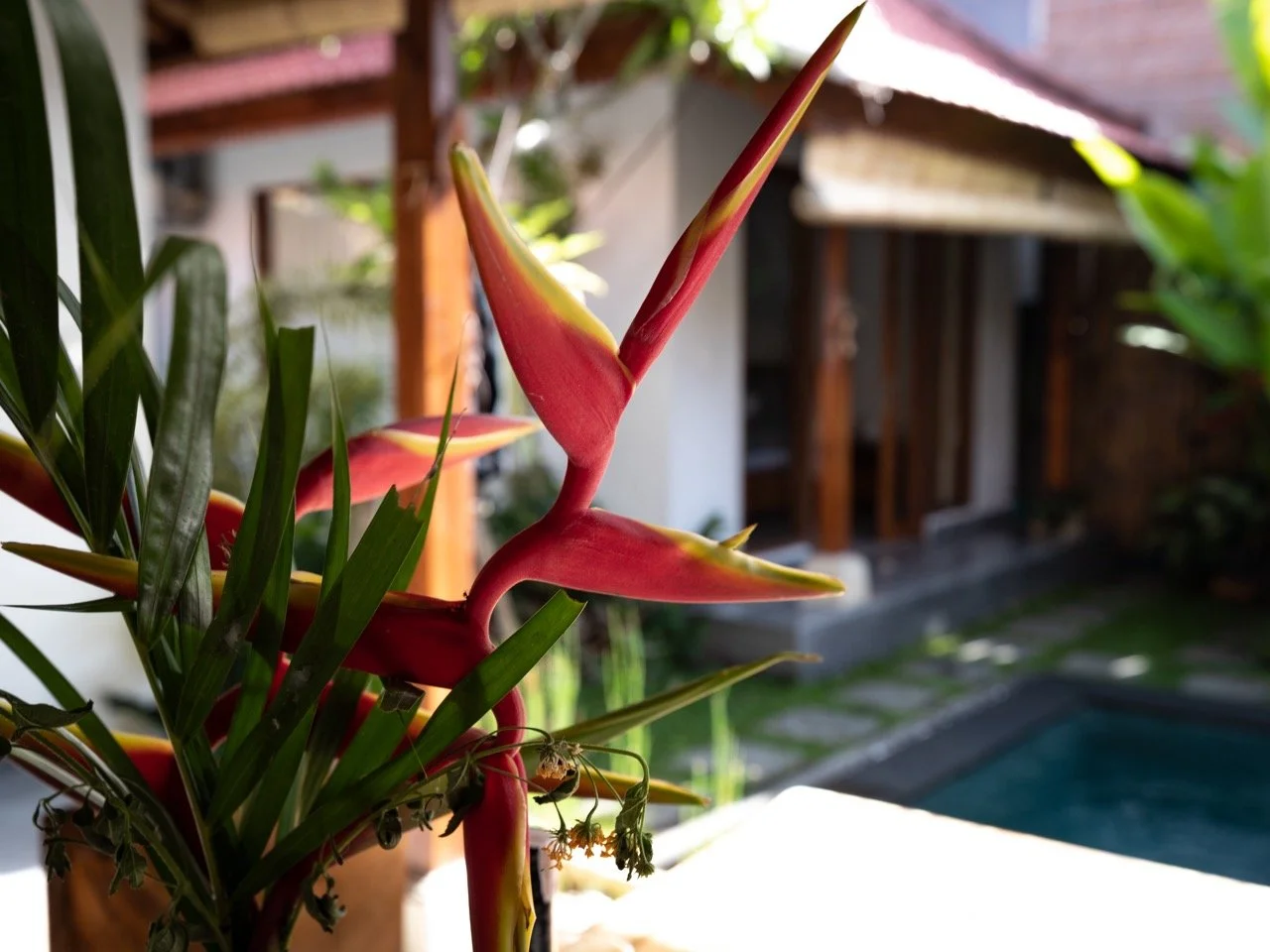 Joy-UbudAirbnb-22 Large.jpeg