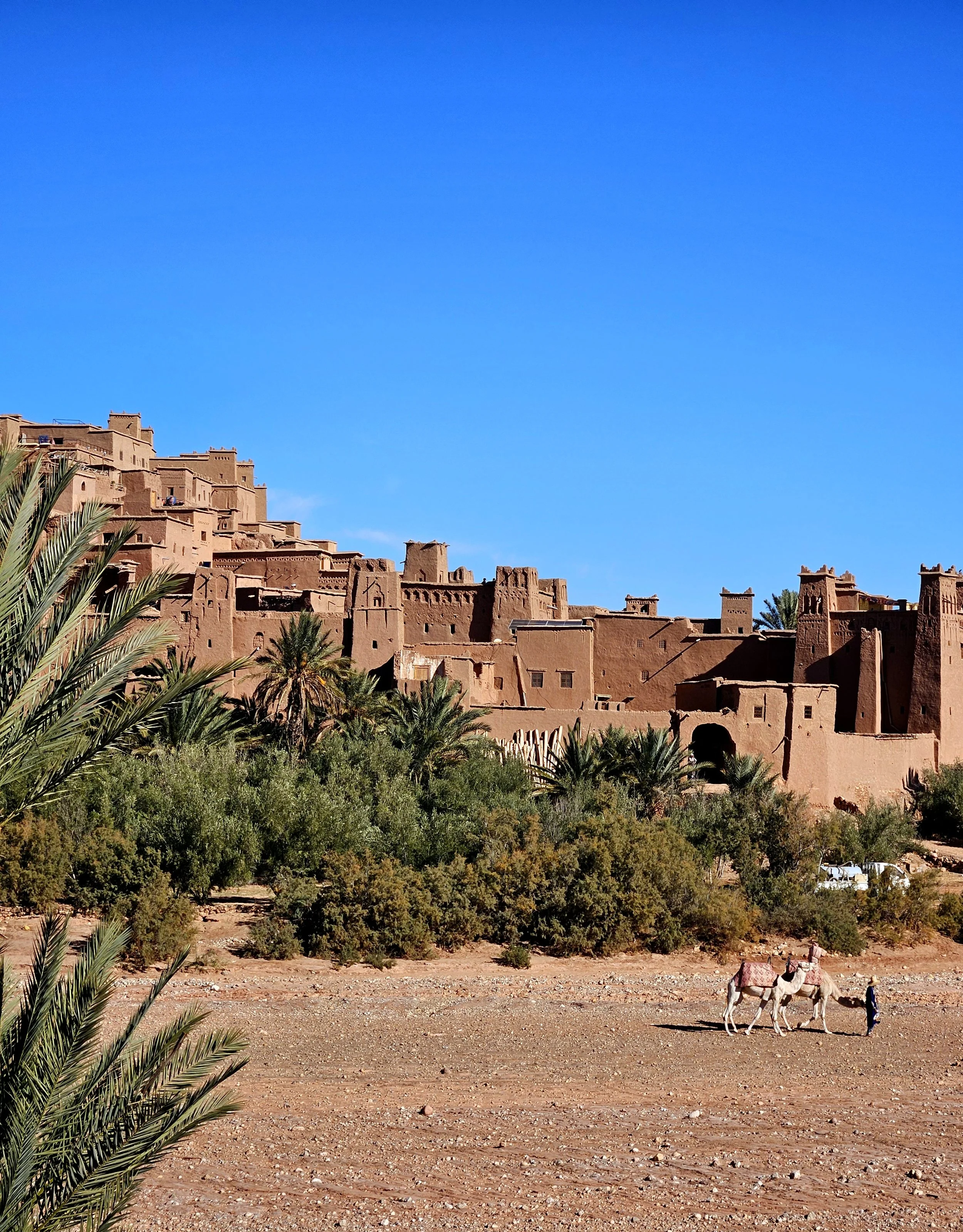 Couple walking through sand dunes in the Sahara Desert
