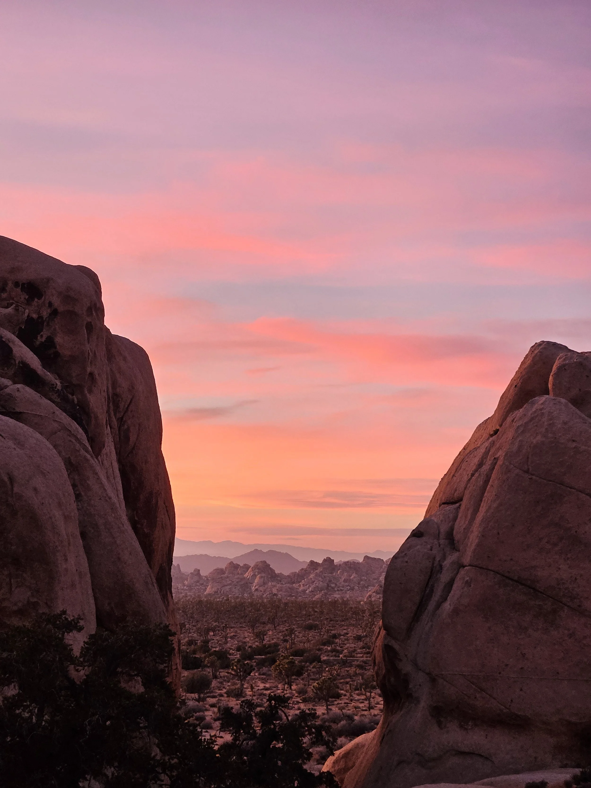 Scenic hiking trail through Joshua Tree’s desert landscape at sunset