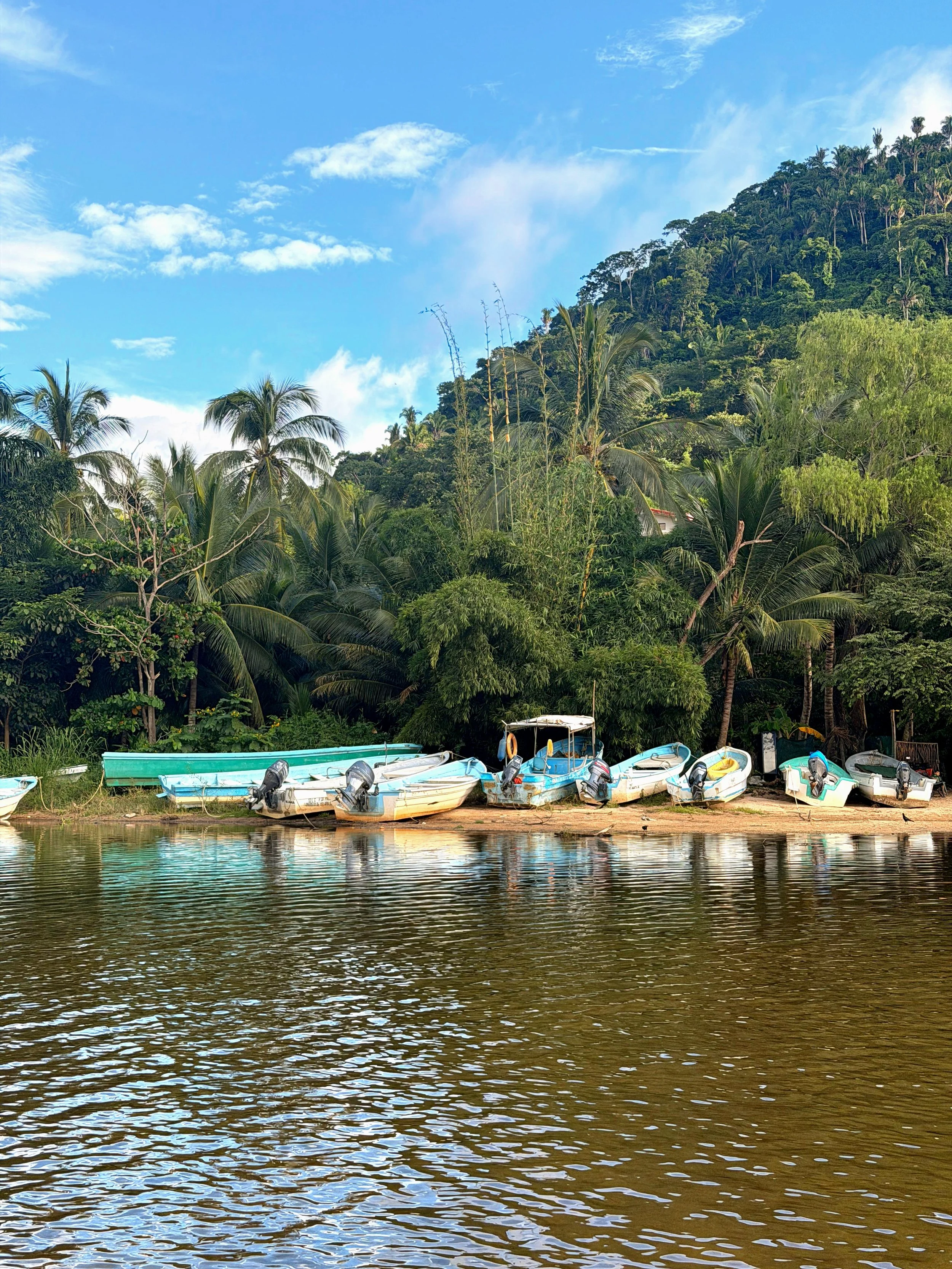 Jungle trail leading to a waterfall in Yelapa