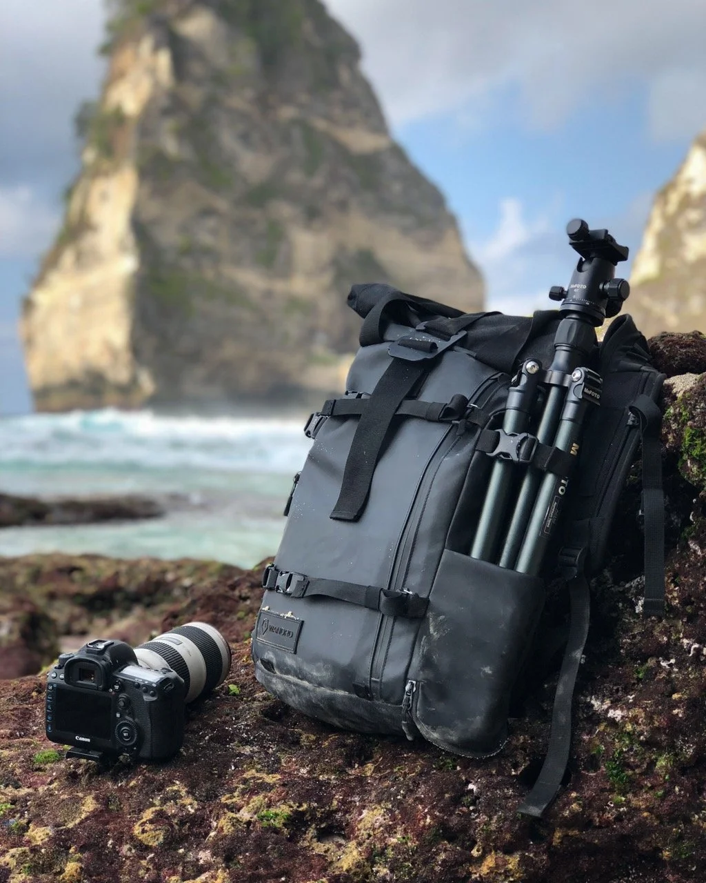 IMG_E2031 Large.jpeg