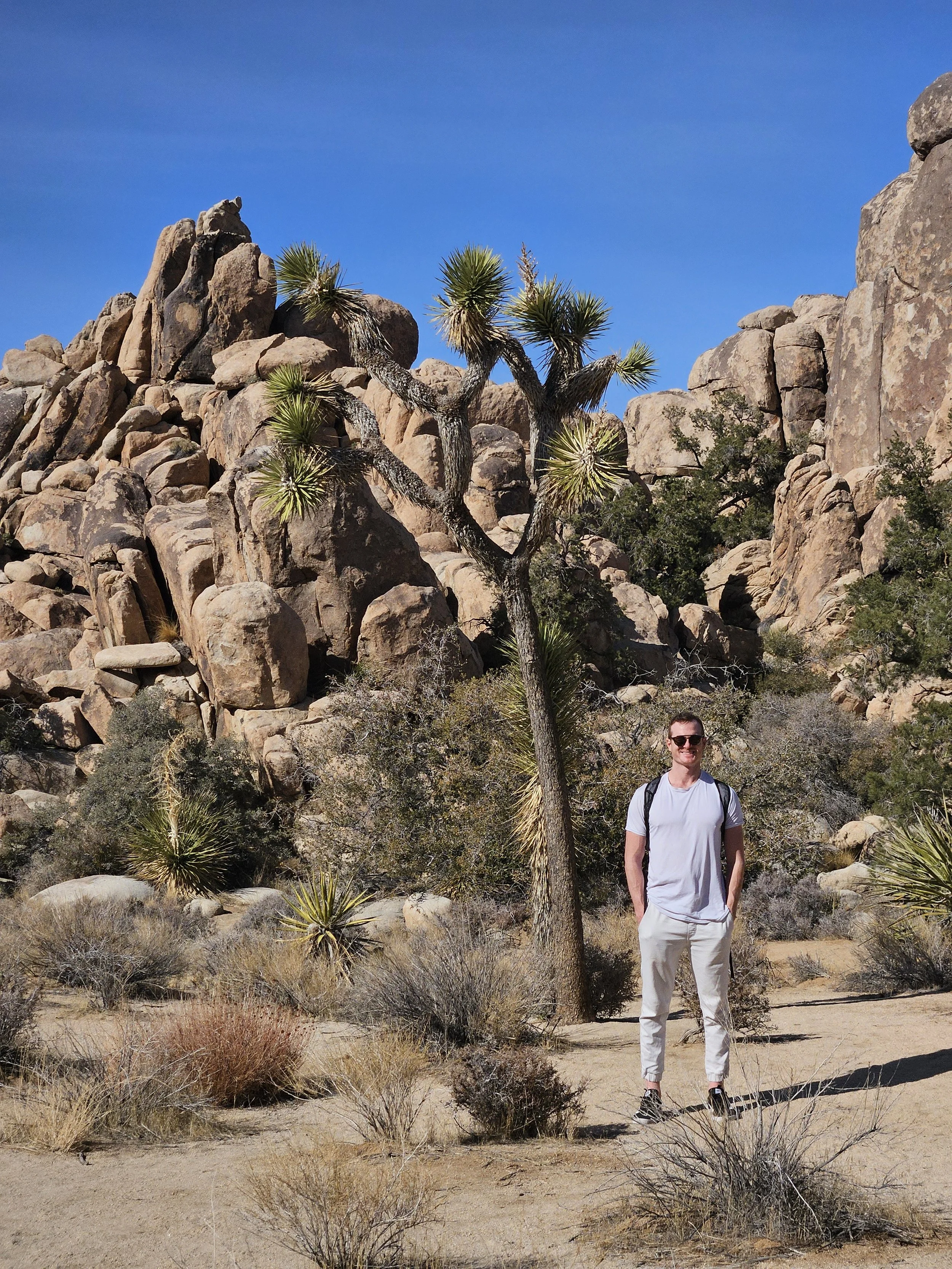 Unique rock formations and desert scenery in Joshua Tree