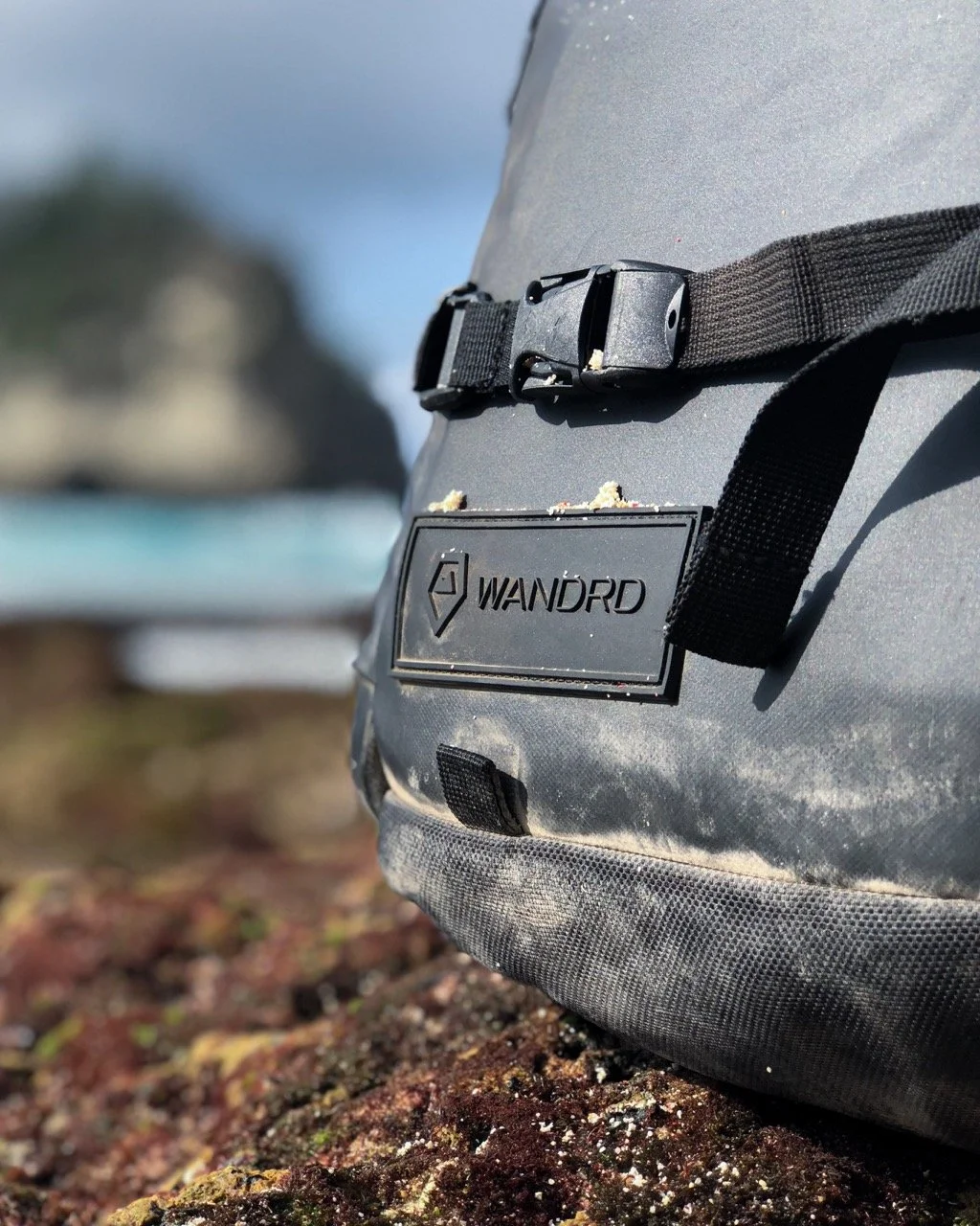 IMG_E2032 Large.jpeg