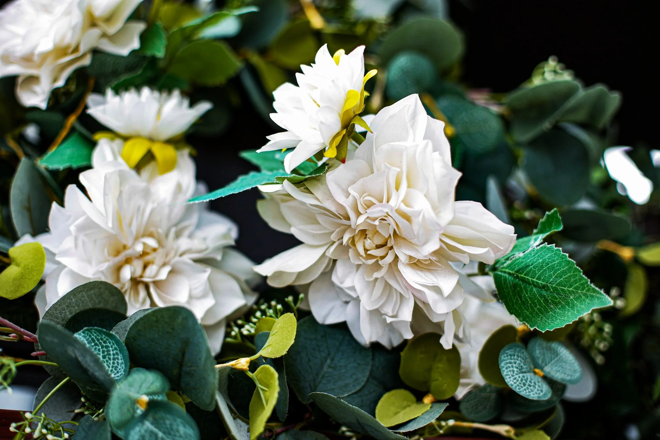 Close-up of white flowers with green leaves