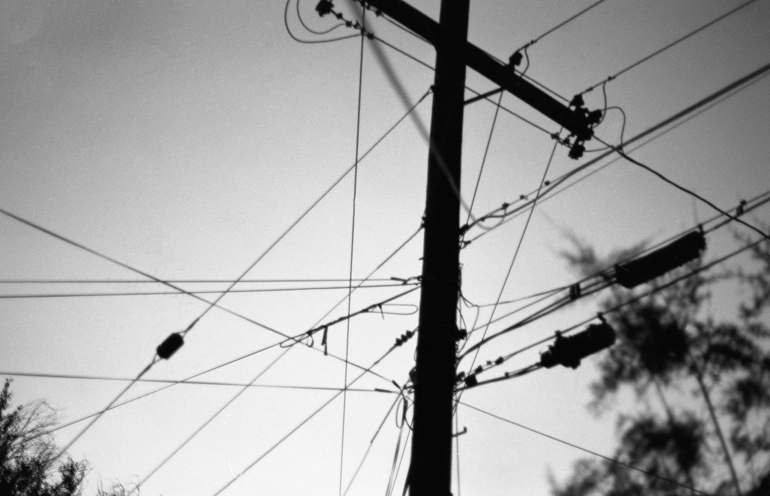 Black and white photo of a utility pole with multiple power lines attached, stretching across the sky. Some trees are visible at the bottom right and left corners.