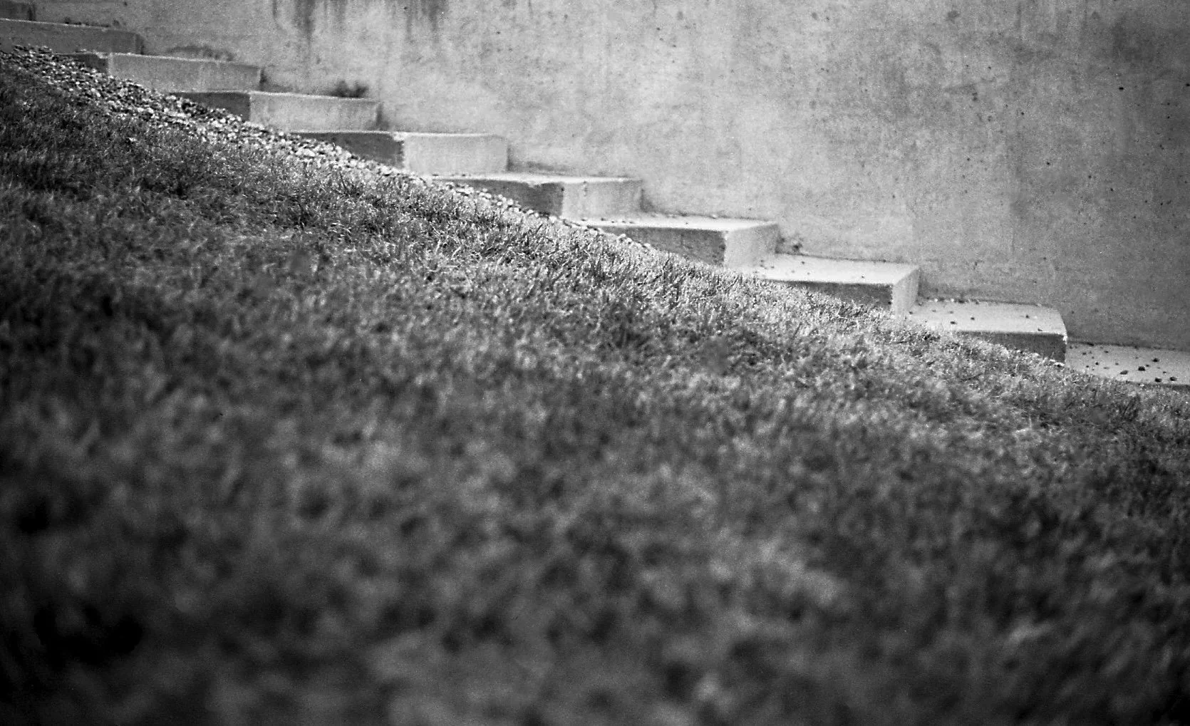 Black and white image of concrete steps on a sloped grassy area.