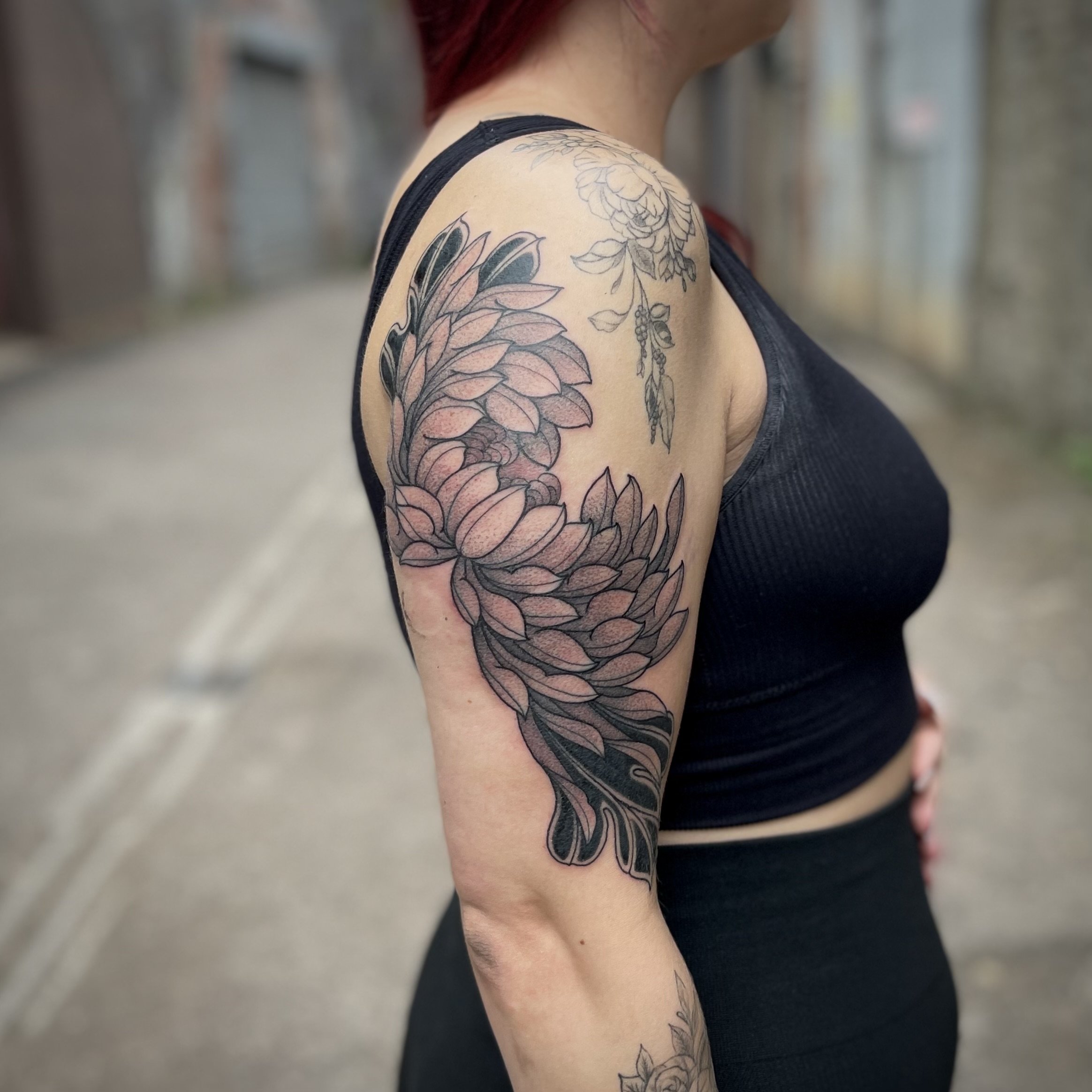 Japanese tattoo Chrysanthemum 