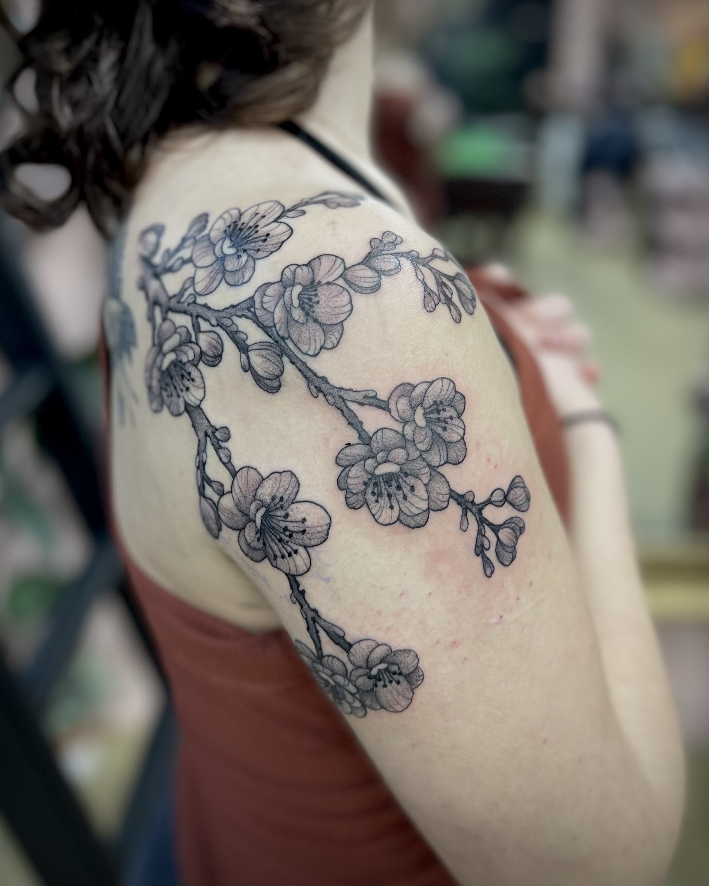 Japanese tattoo Cherry blossom