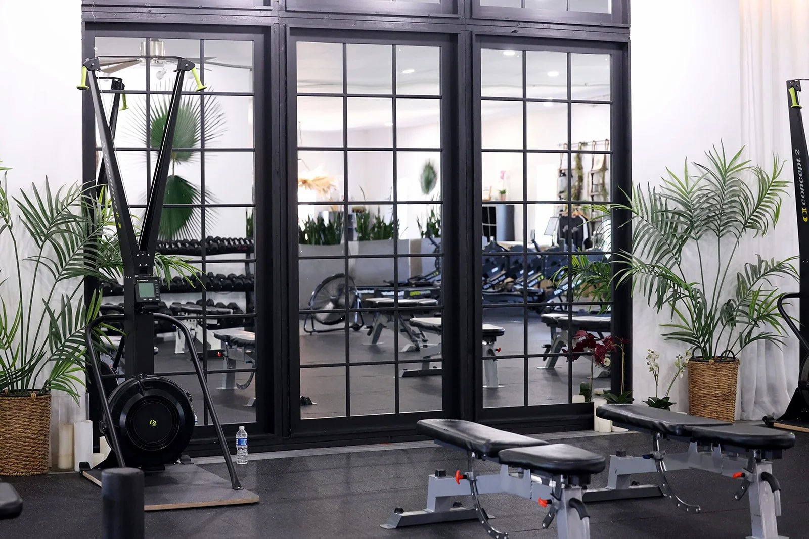 Inside a gym with black-framed glass doors, dumbbells on racks, and workout benches, surrounded by potted plants.