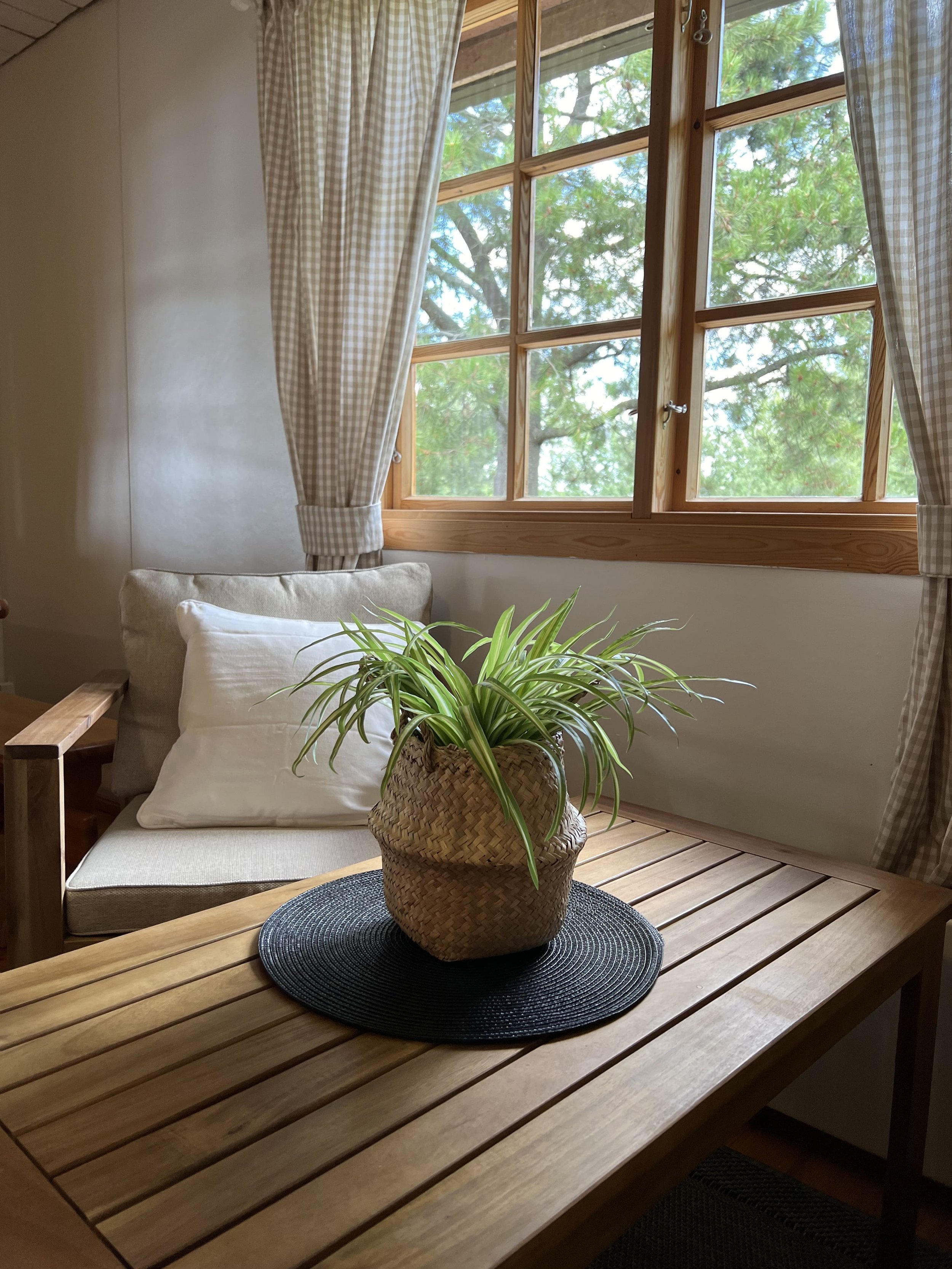 interior-de-la-casa-sisustussuunnittelu-jyvaskyla-pauliina-kolari-kerhotalon-stailaus-valmis-uudet -verhot-kasvi-kalusteet.jpeg
