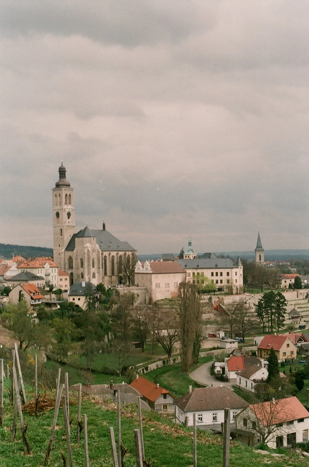 P39.jpg