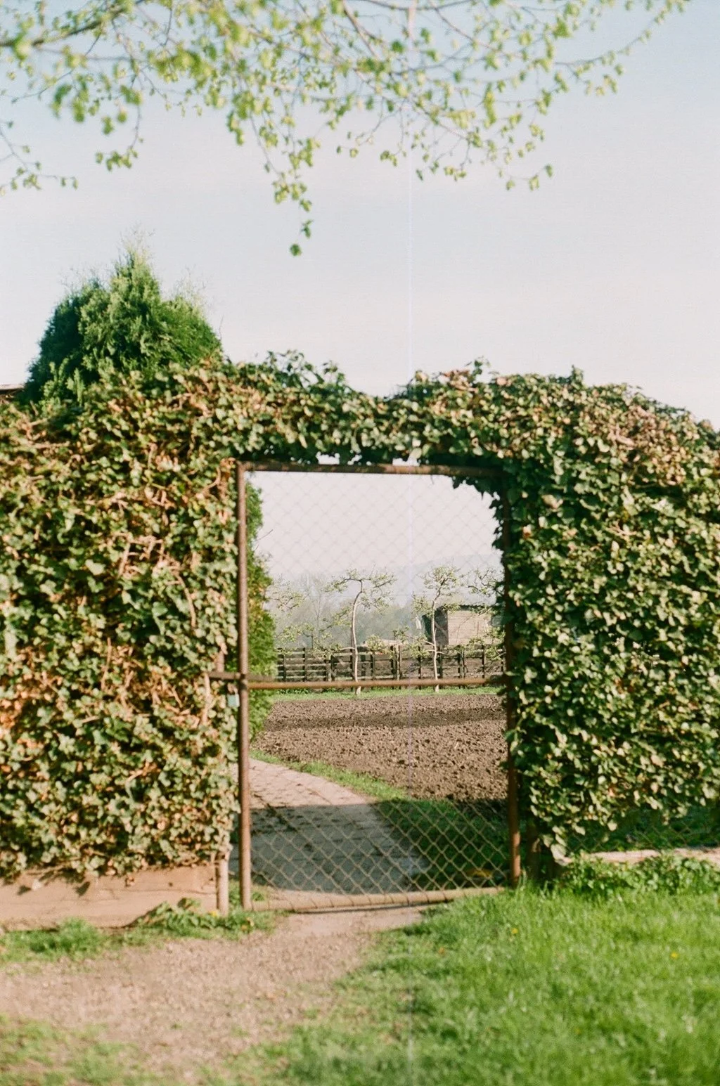 P30.jpg