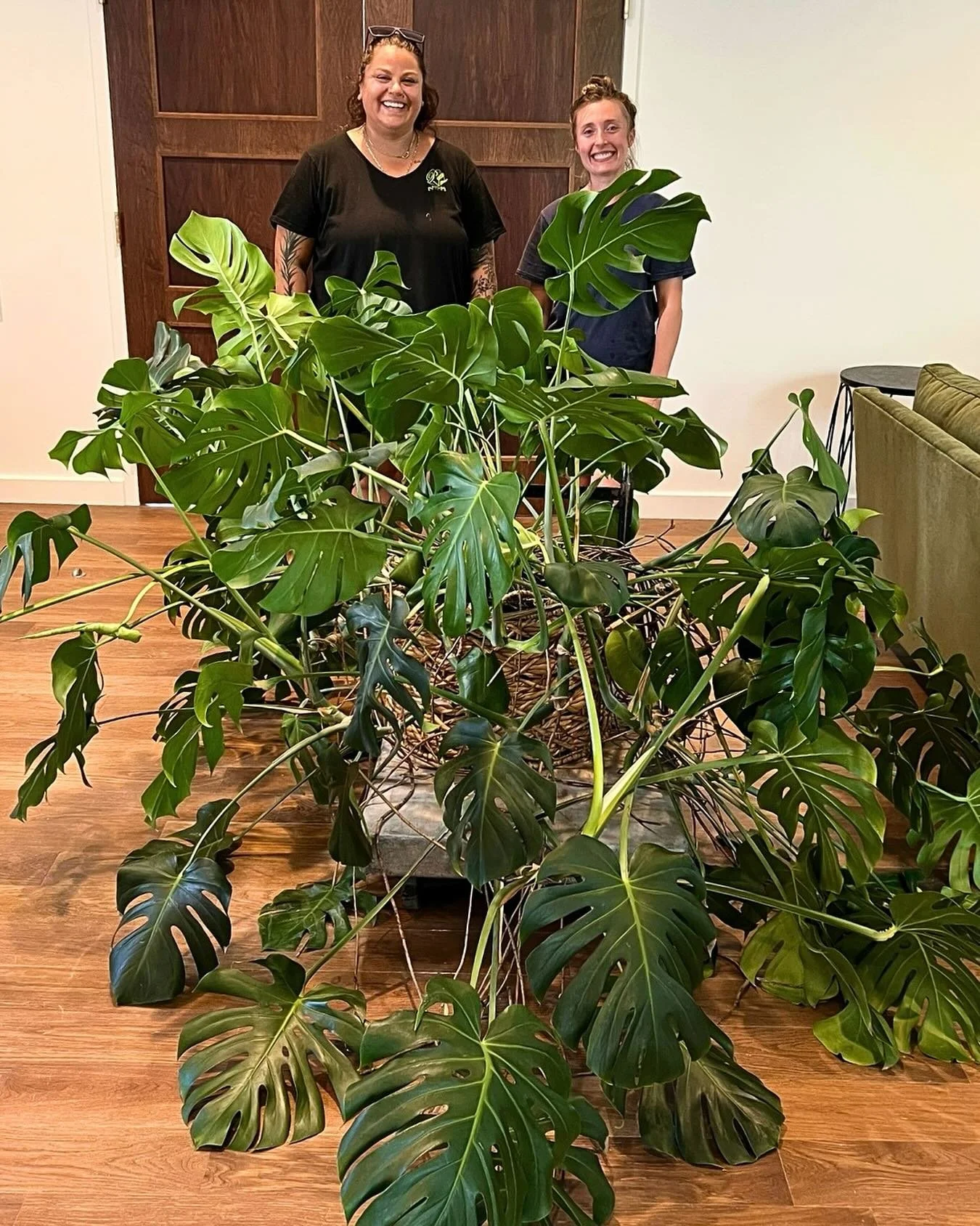 Our magnificently monstrous Monstera is a site to behold! 🌿 

For Kelsey Vincente and Kelsey Mooney of @plantasia.design, a woman-owned company based in Rehoboth, MA, plant care is their business. Their team is helping design and maintain our interi