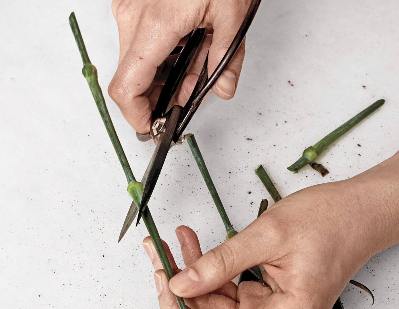 January Floral Arrangement Workshop