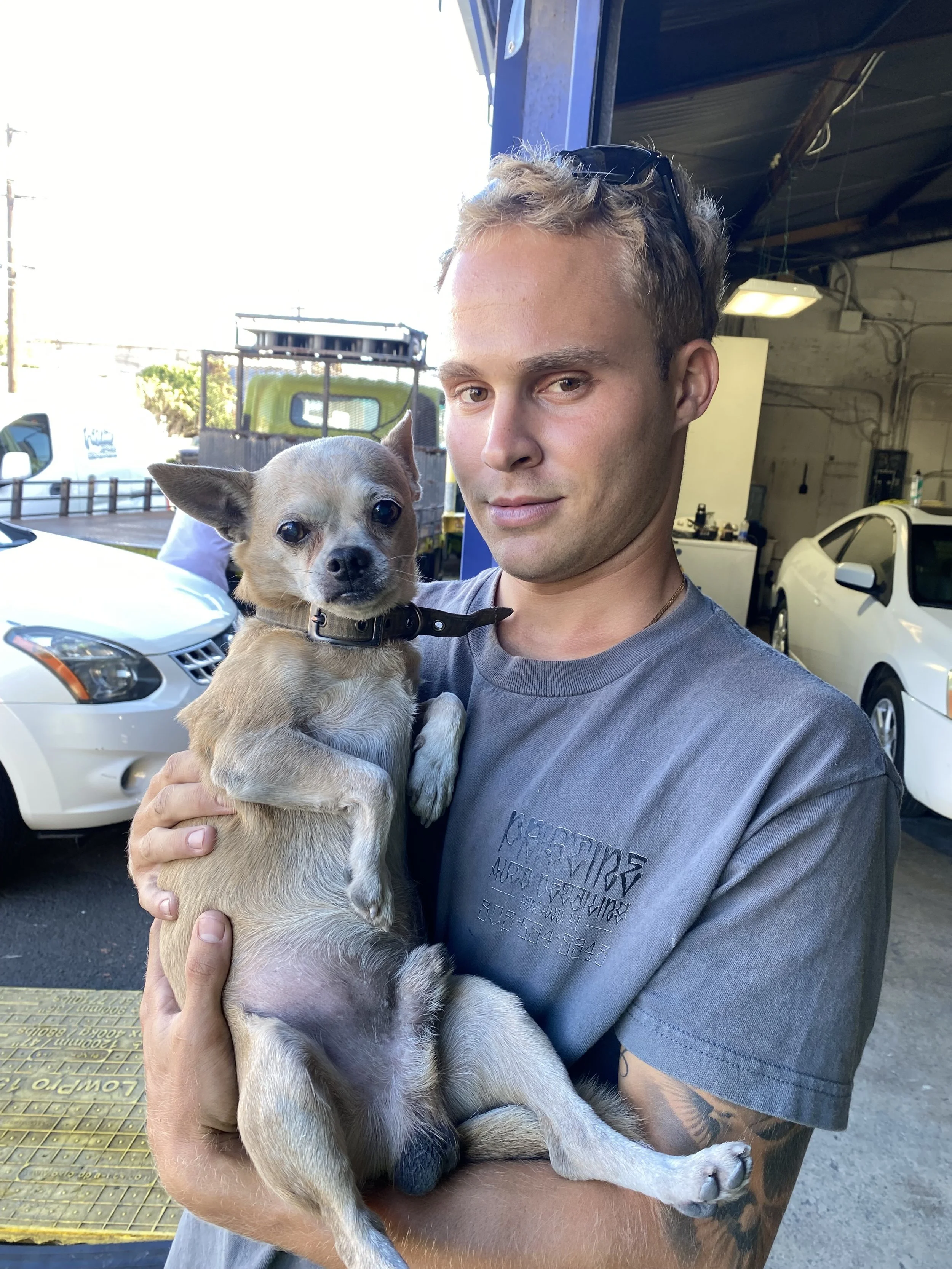 A young man with short blond hair and sunglasses on his head holding a small tan dog with a black collar outside in a parking lot.