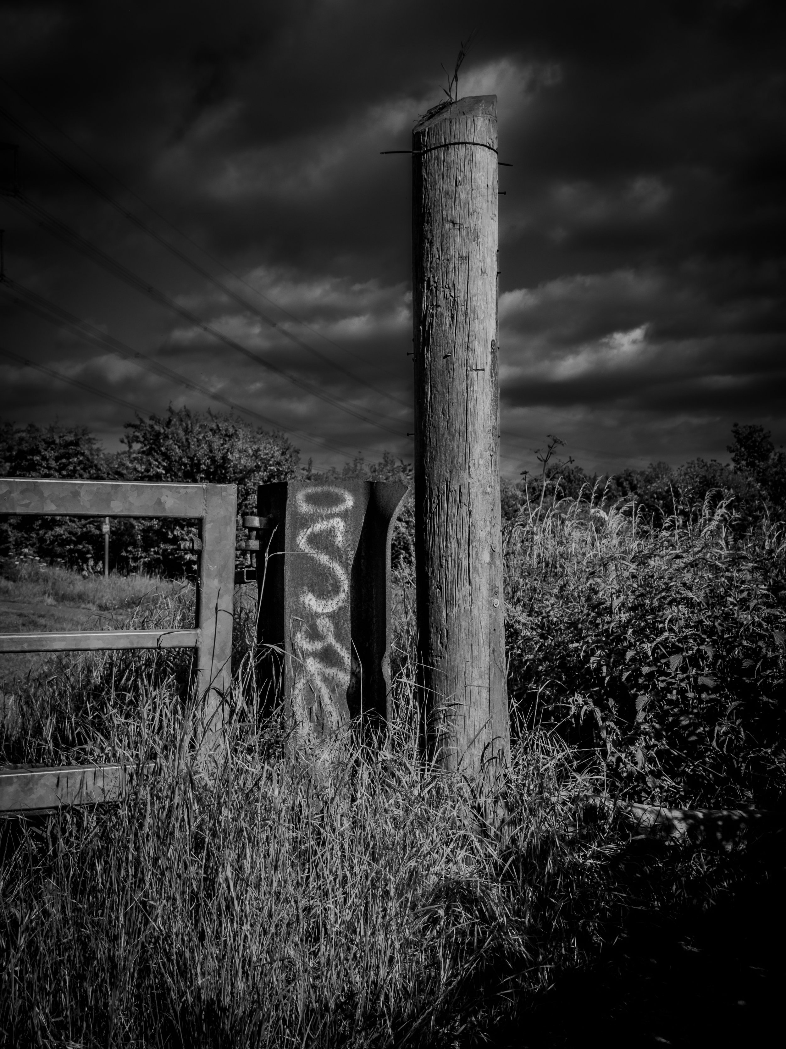 IMG_0992.jpeg